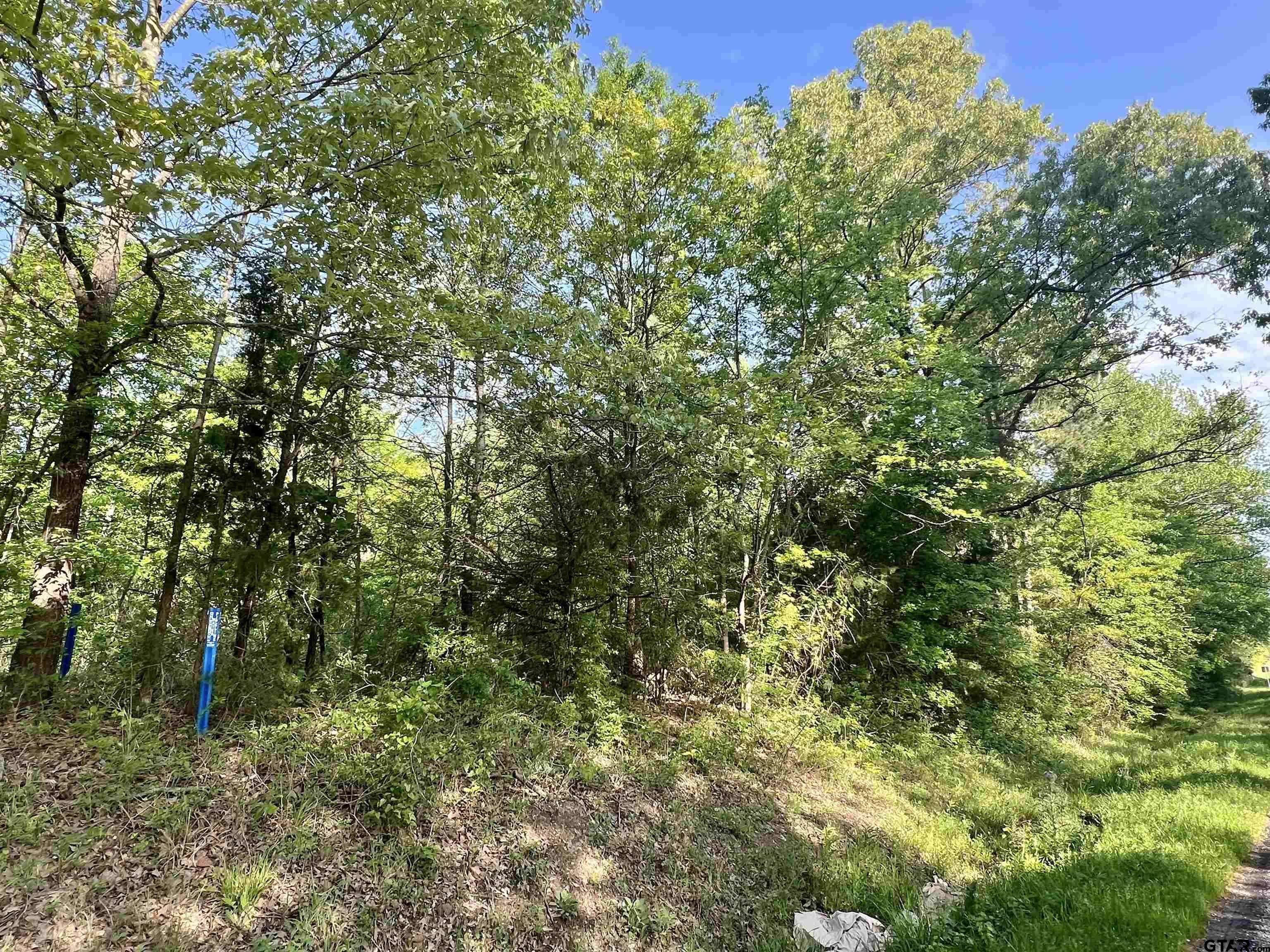 Mt Pleasant, TX 75455,TBD FM 1402