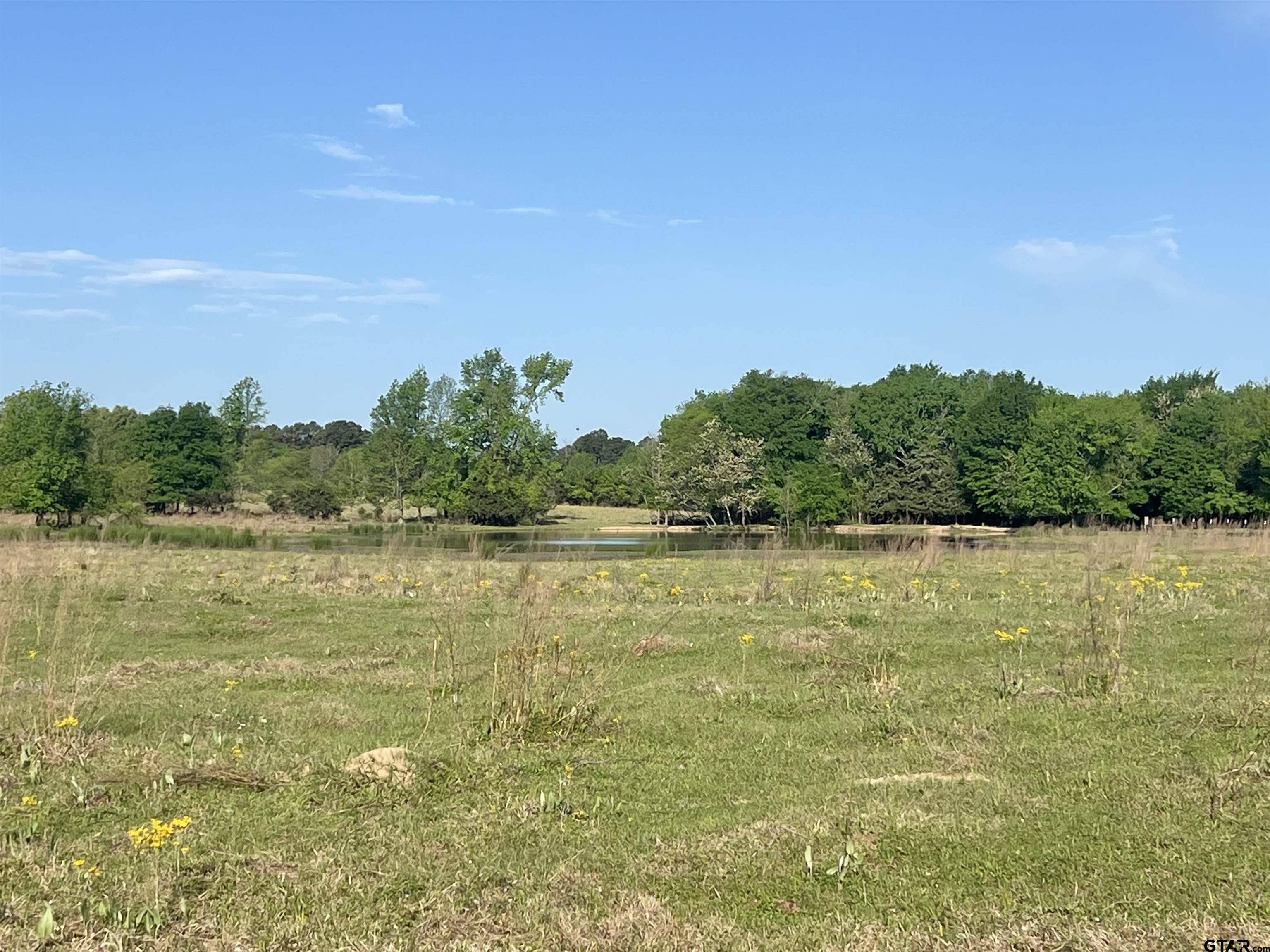Mt Pleasant, TX 75455,TBD FM 1402