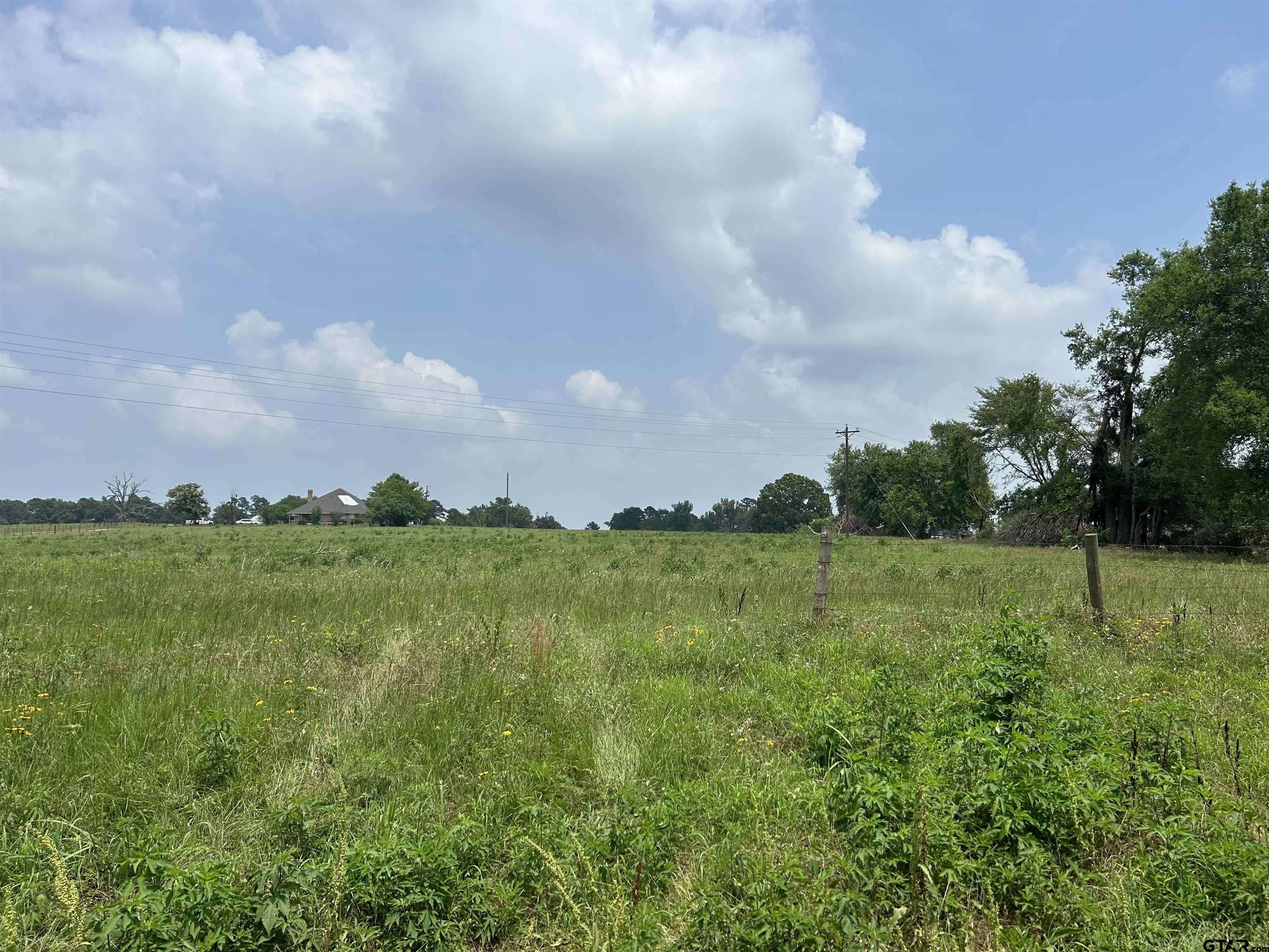 Troup, TX 75789,LOT 7  5 ACRES COUNTY ROAD 2166