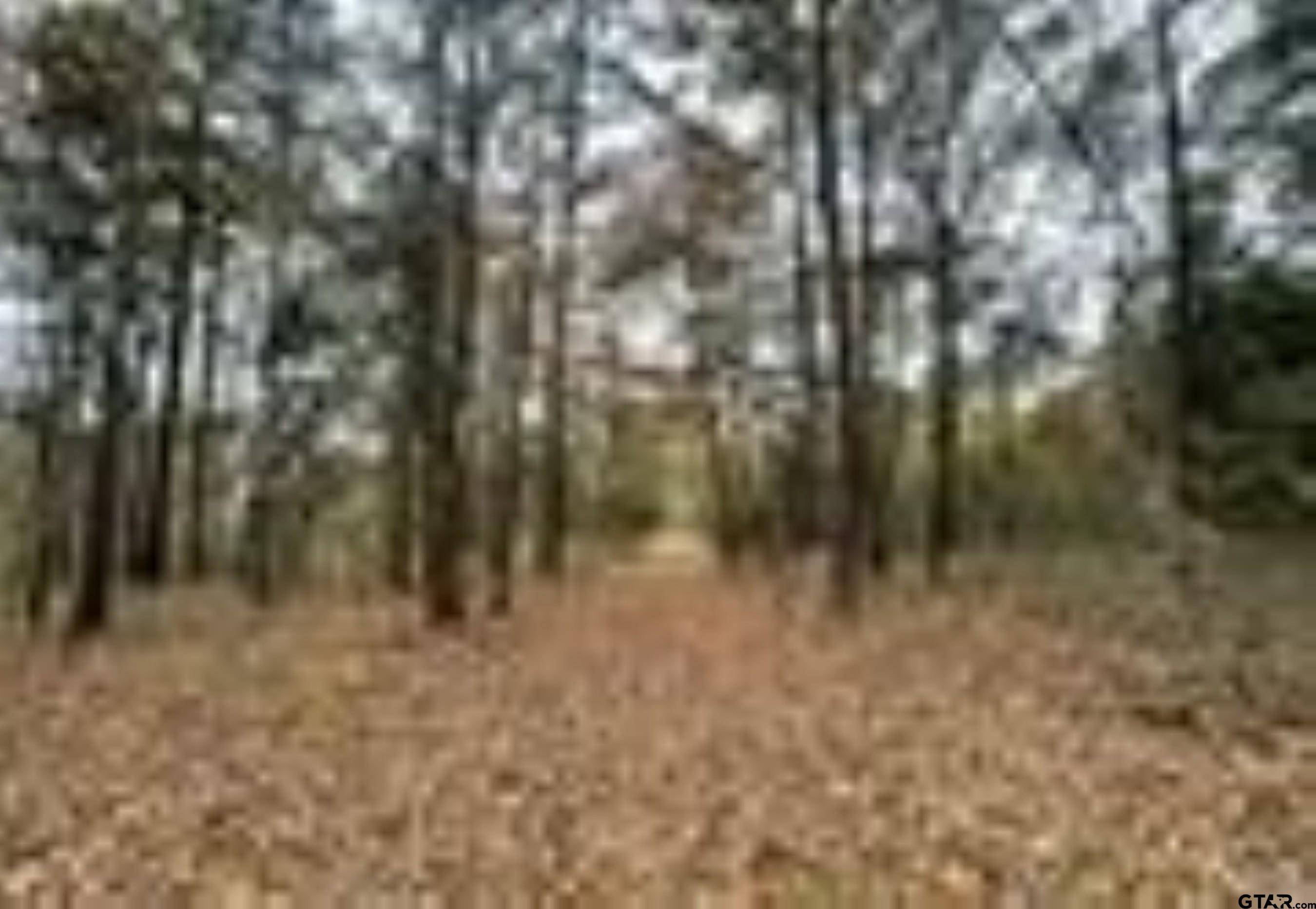 Flint, TX 75762,13050 Timber Creek Dr