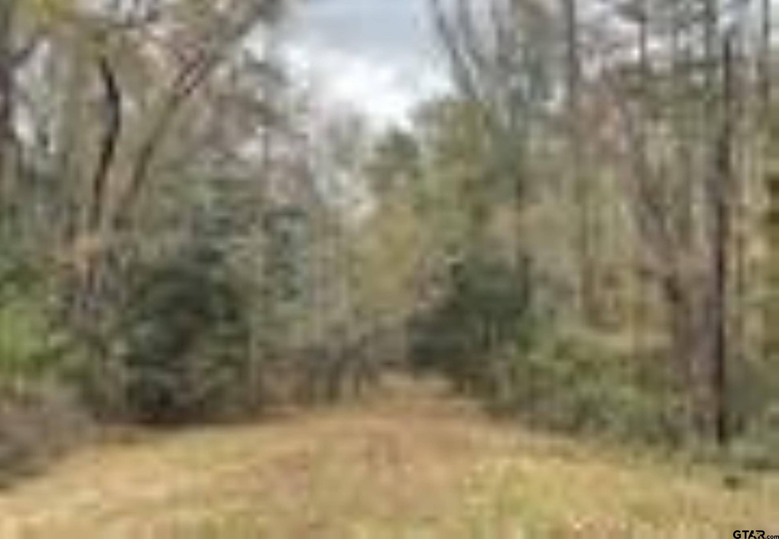 Flint, TX 75762,13050 Timber Creek Dr