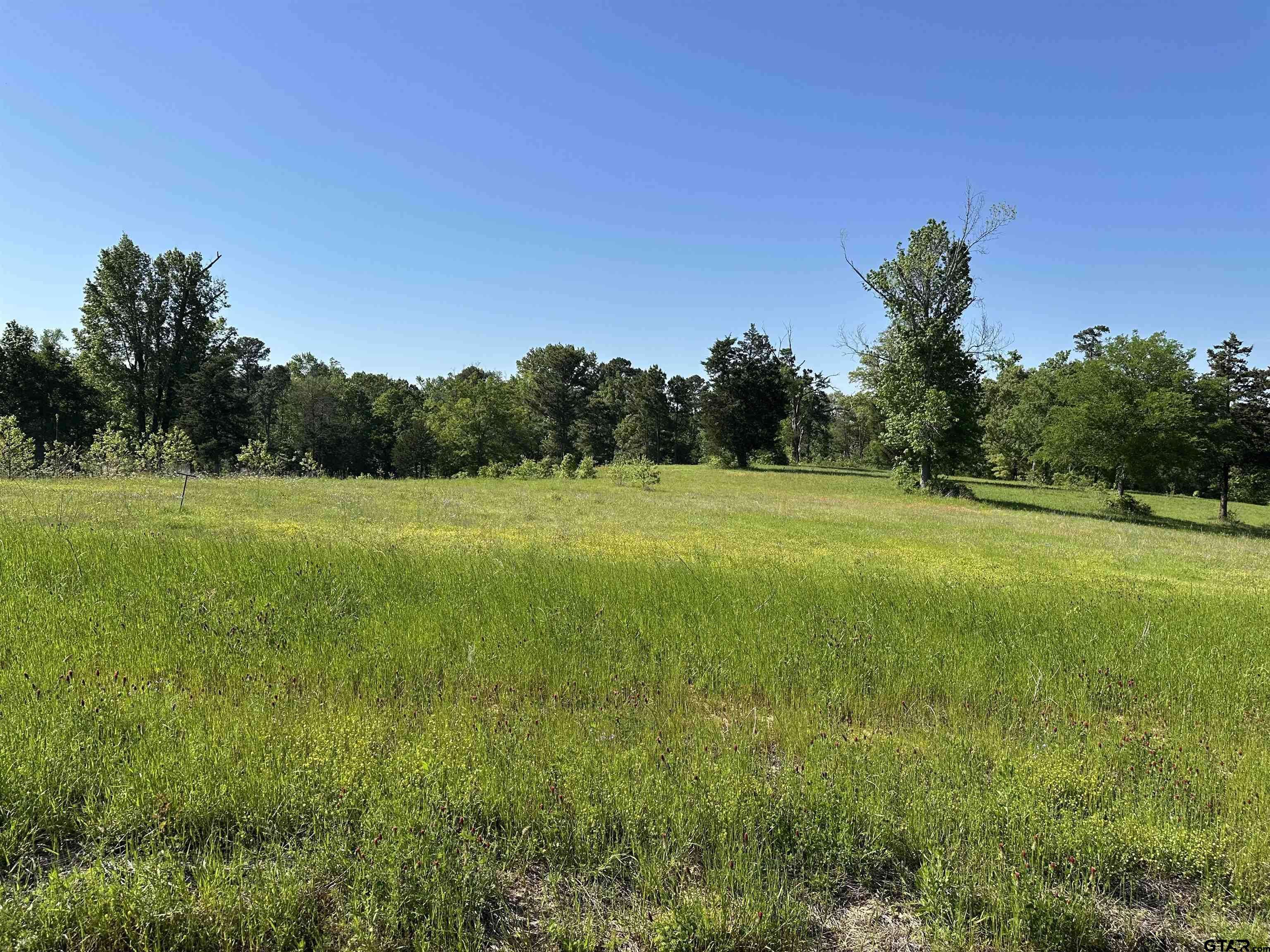 Winona, TX 75792,Lot 91 Ridgeline Loop