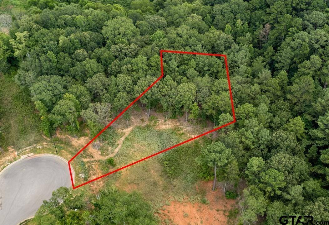 Tyler, TX 75703,9299 Caddo Ridge Cv
