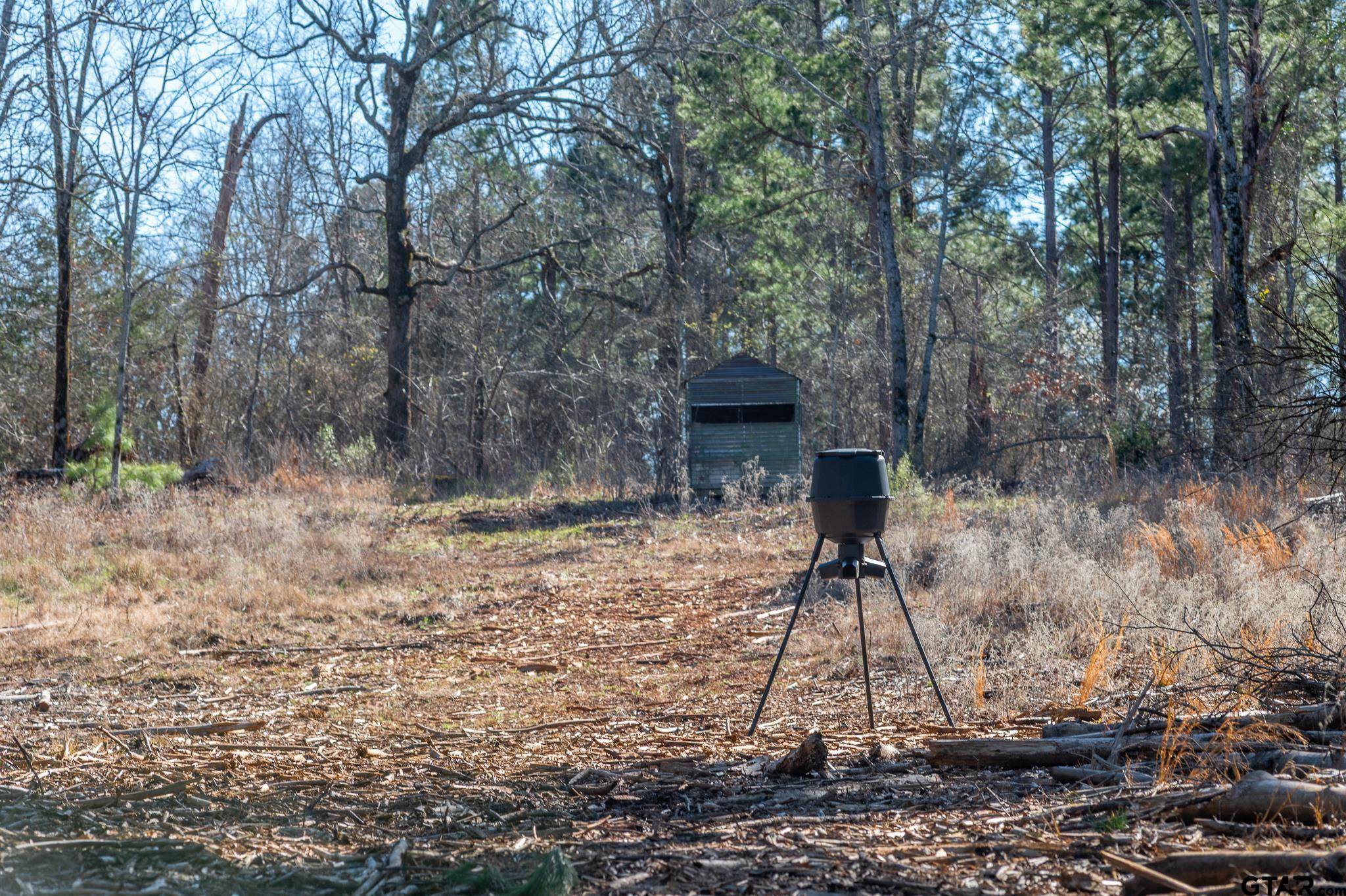 Ben Wheeler, TX 75754,South Tract Highway 64