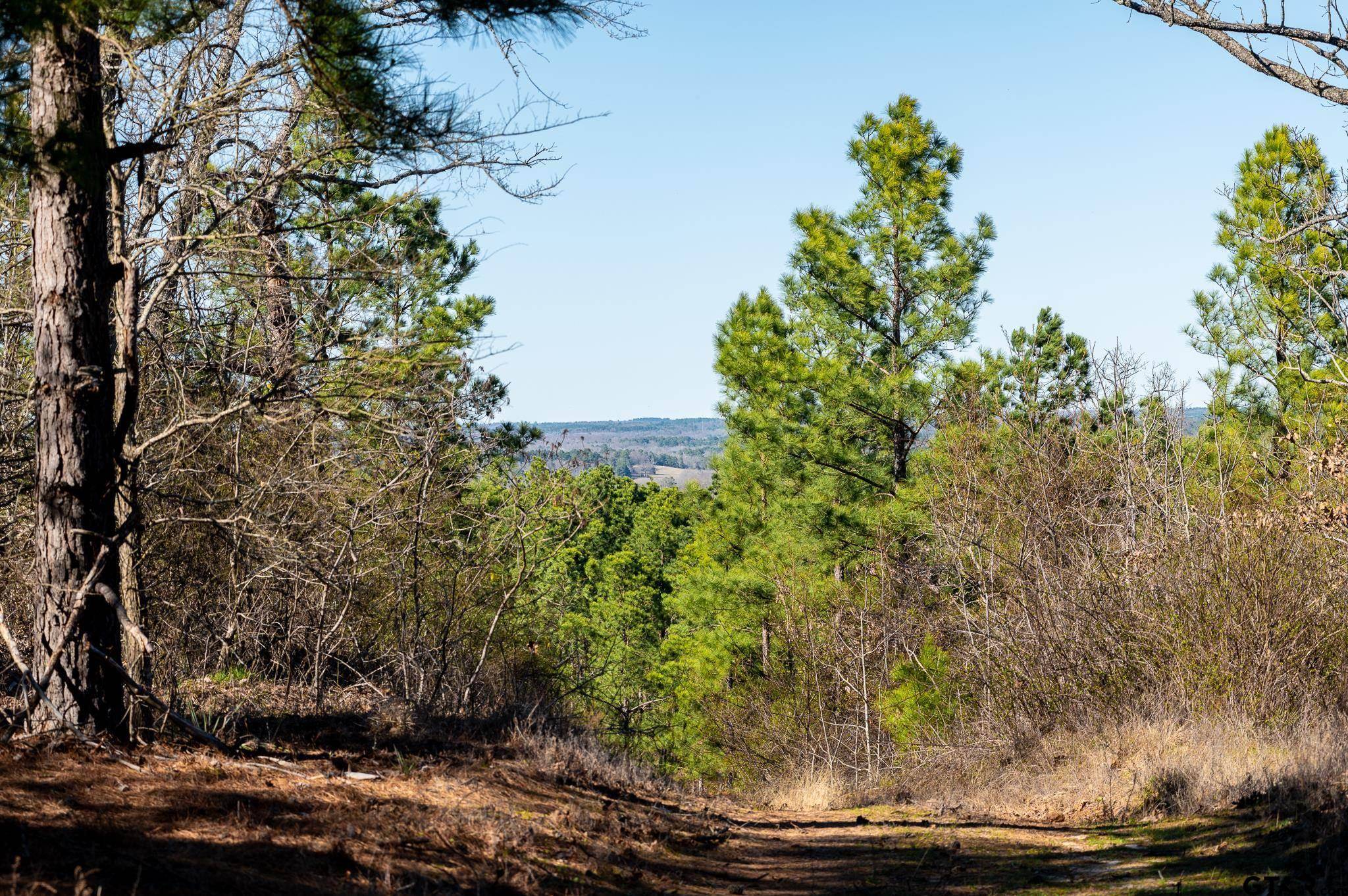 Ben Wheeler, TX 75754,North Tract Hwy 64