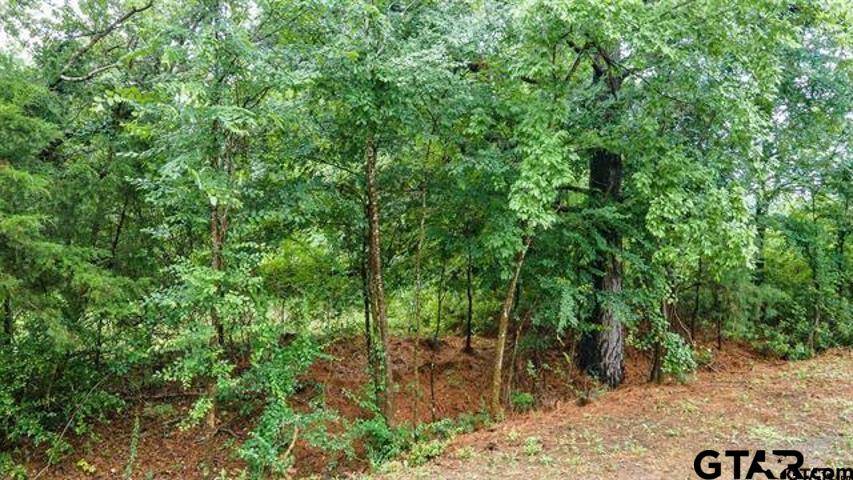 Frankston, TX 75763,Lot 46 PR 7011