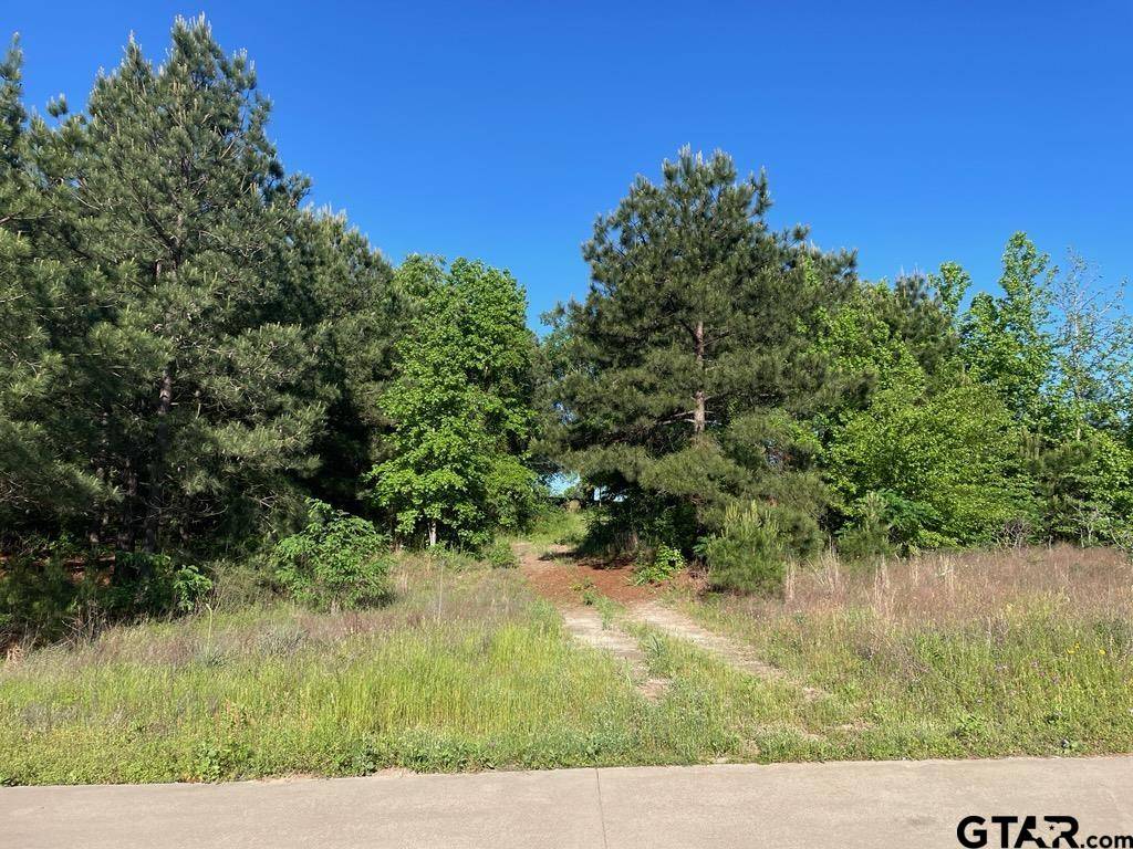 Big Sandy, TX 75755,619 W Broadway St.