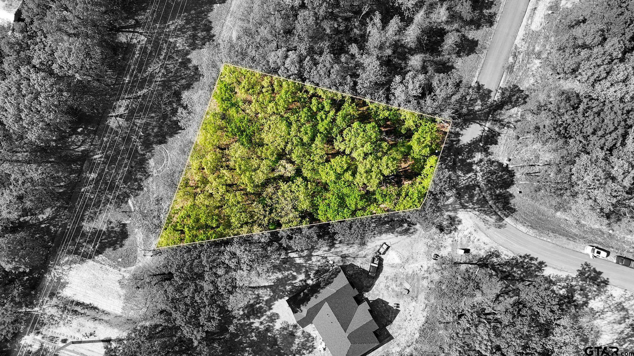 Mineola, TX 75773,TBD PR 6305 LOT 59