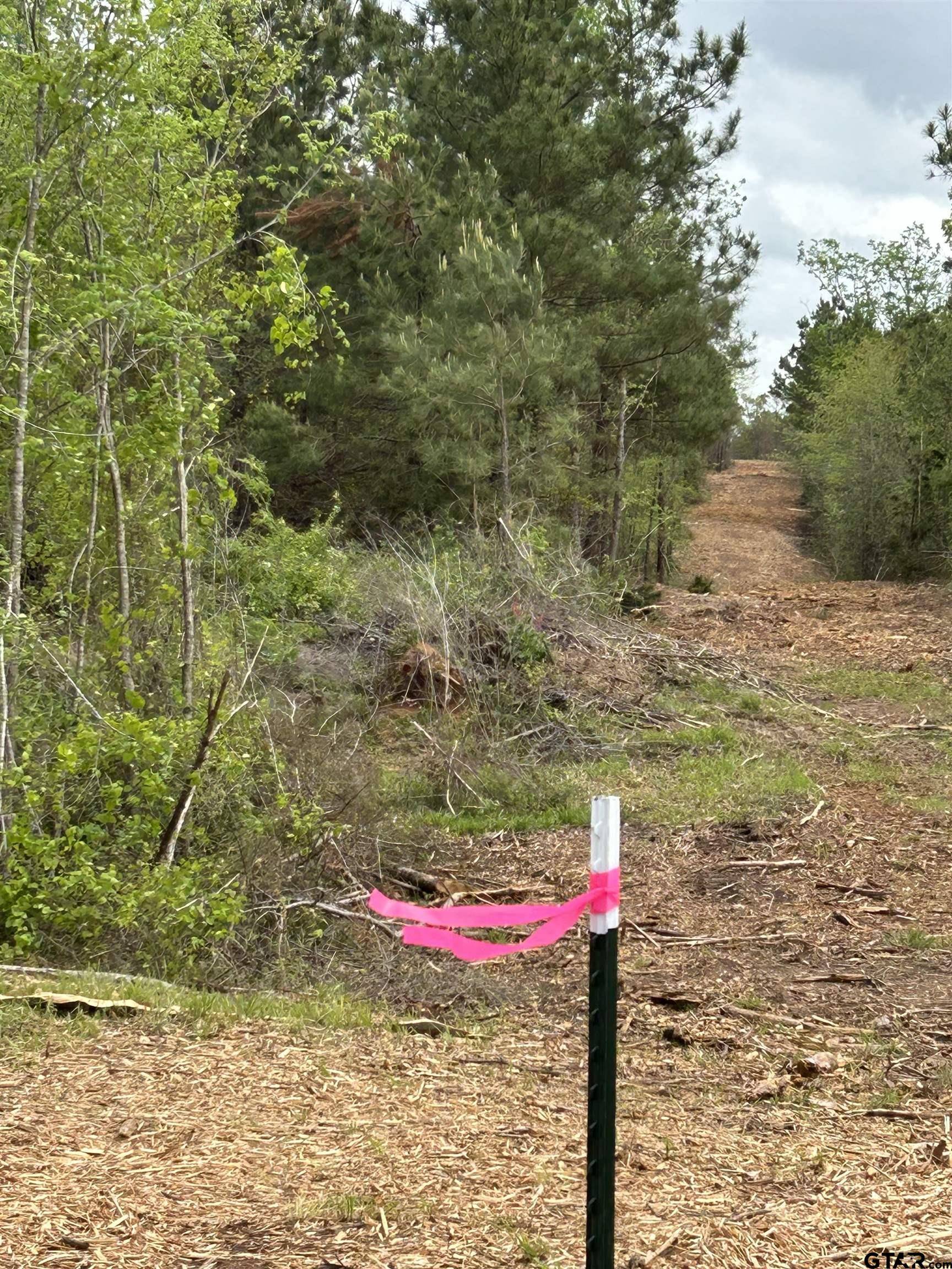 Henderson, TX 75654,10.205 ac CR 324