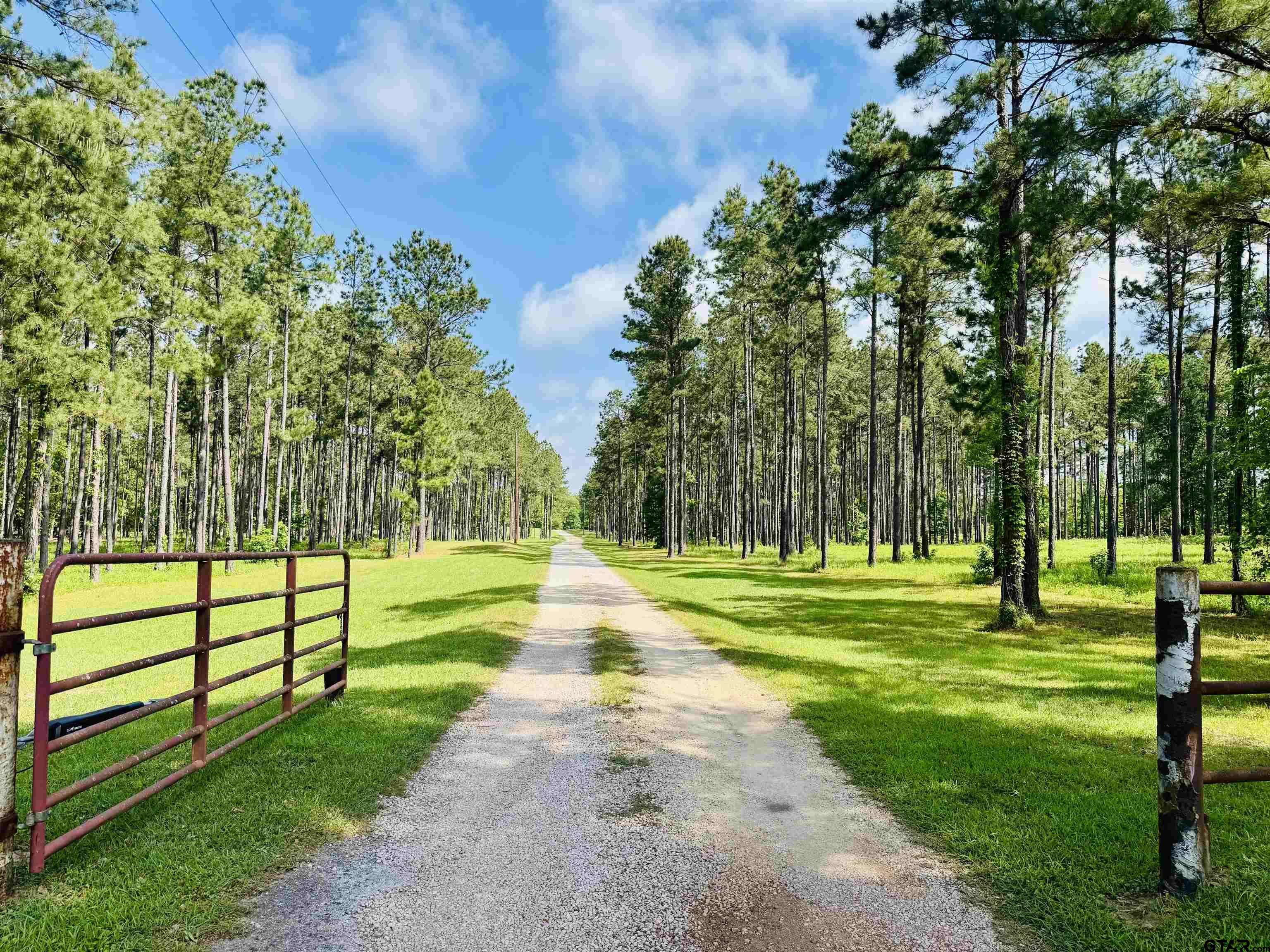 Henderson, TX 75654,1346 W County Road 481