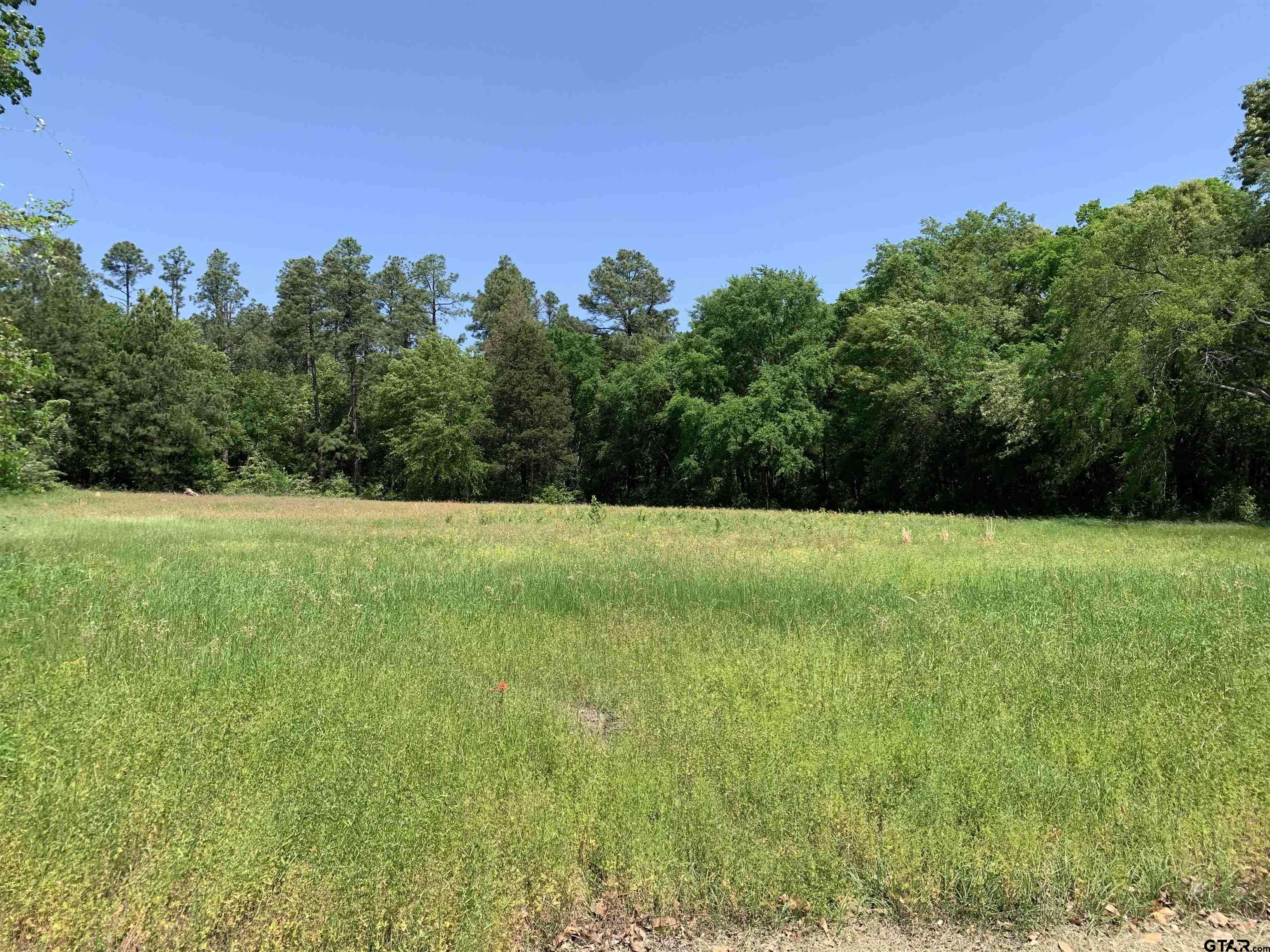 Athens, TX 75751,Lot 2 Gibson Road