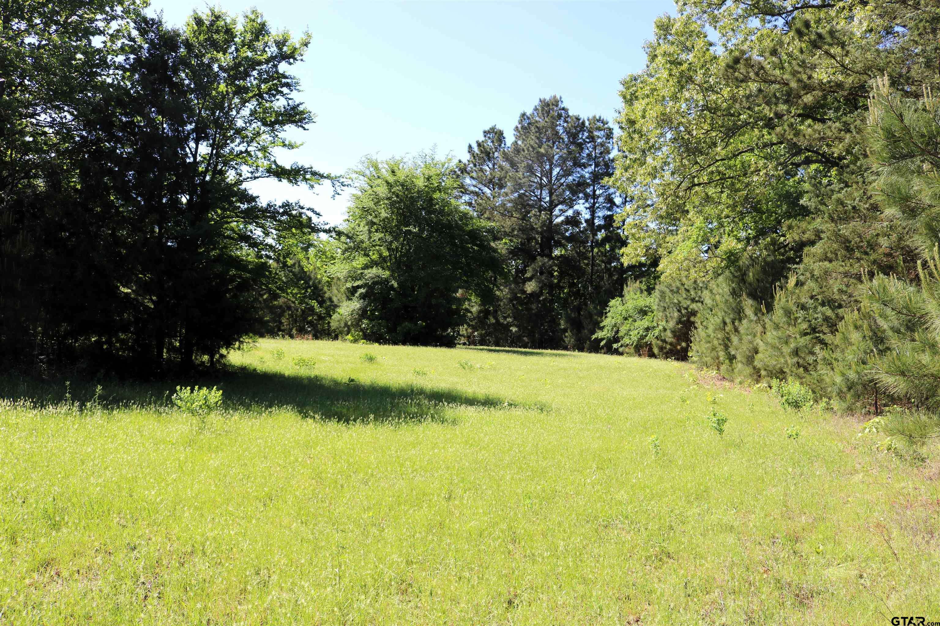 Gilmer, TX 75644,TBD Ginger Rd Trace 3, 16.75 Ac