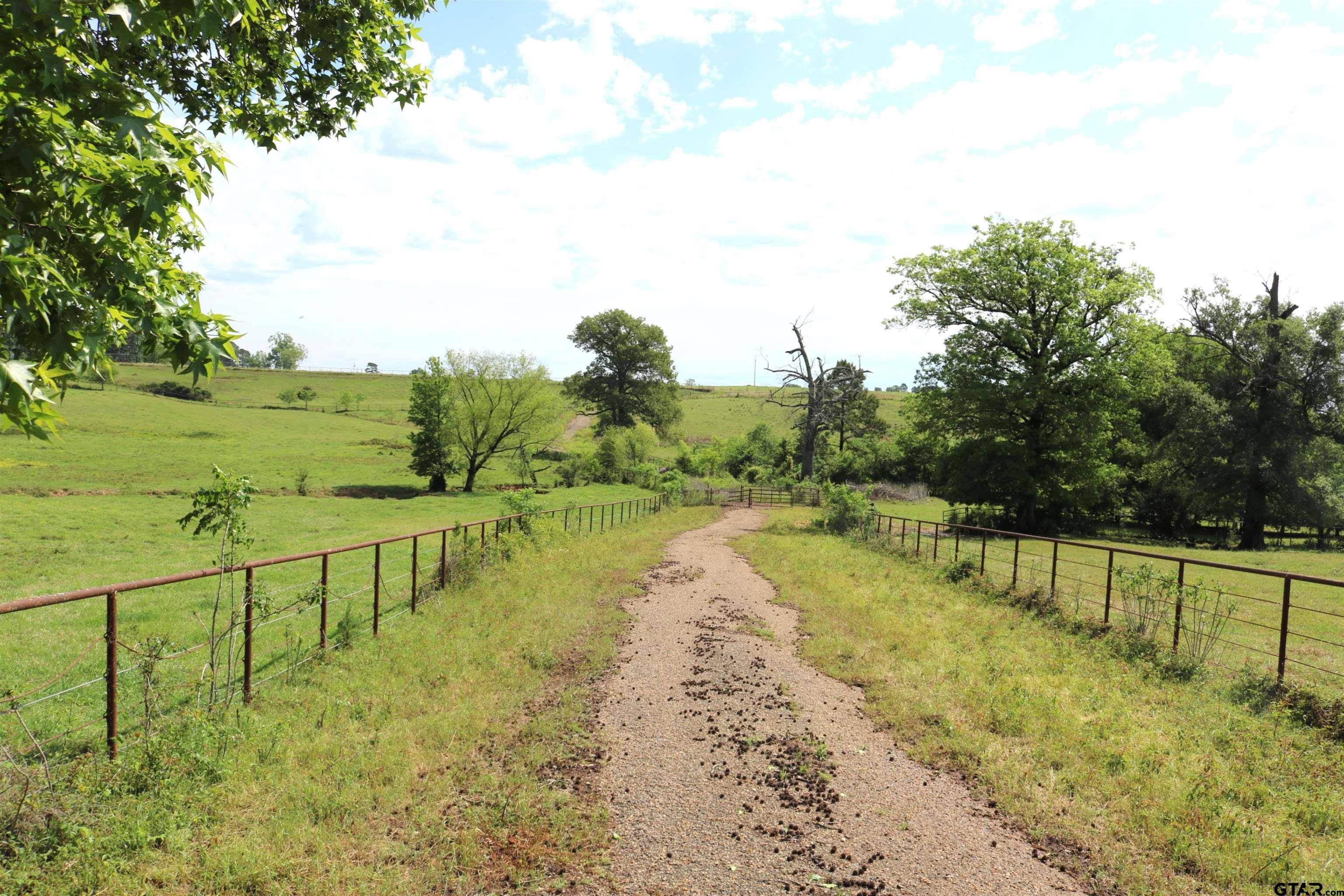 Ore City, TX 75683,TBD Wild Daisy Road 50 Acres