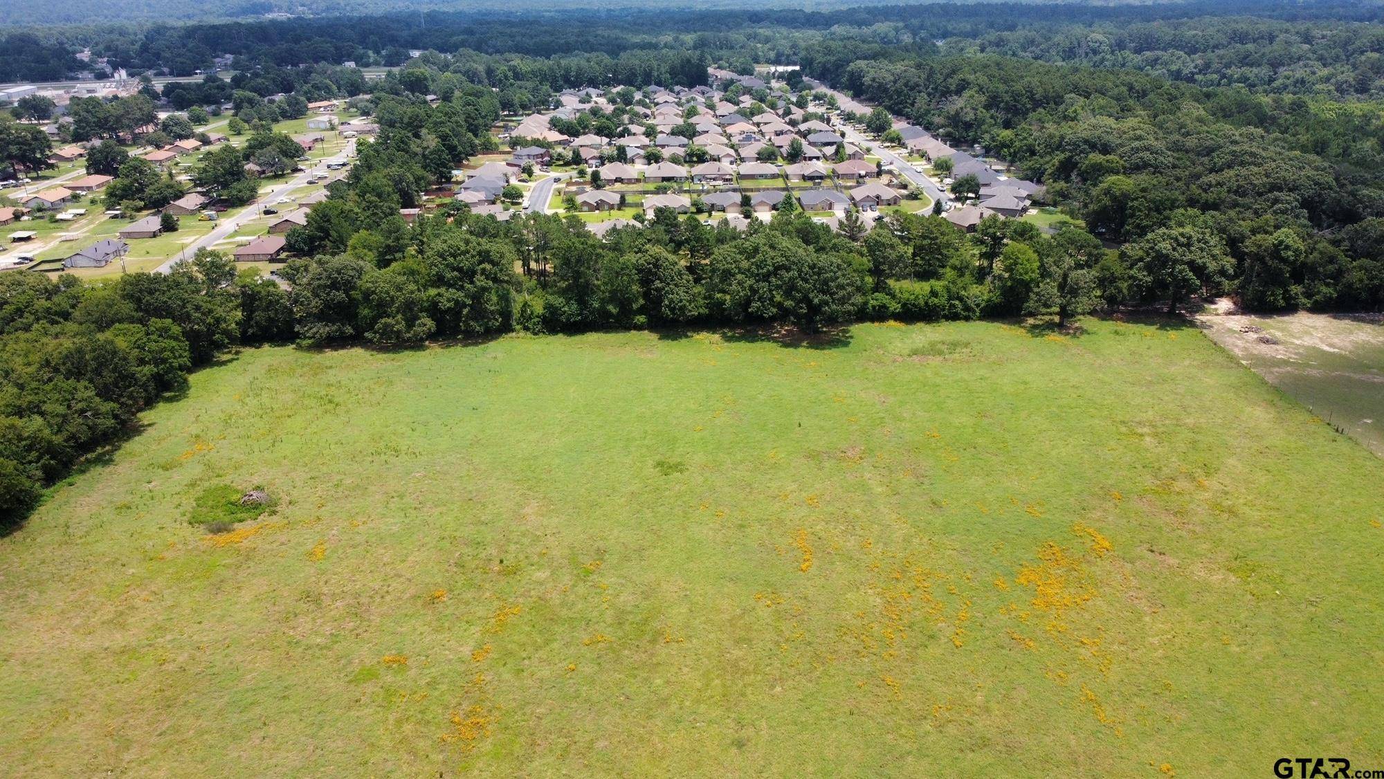 Flint, TX 75762,20229 County Road 150
