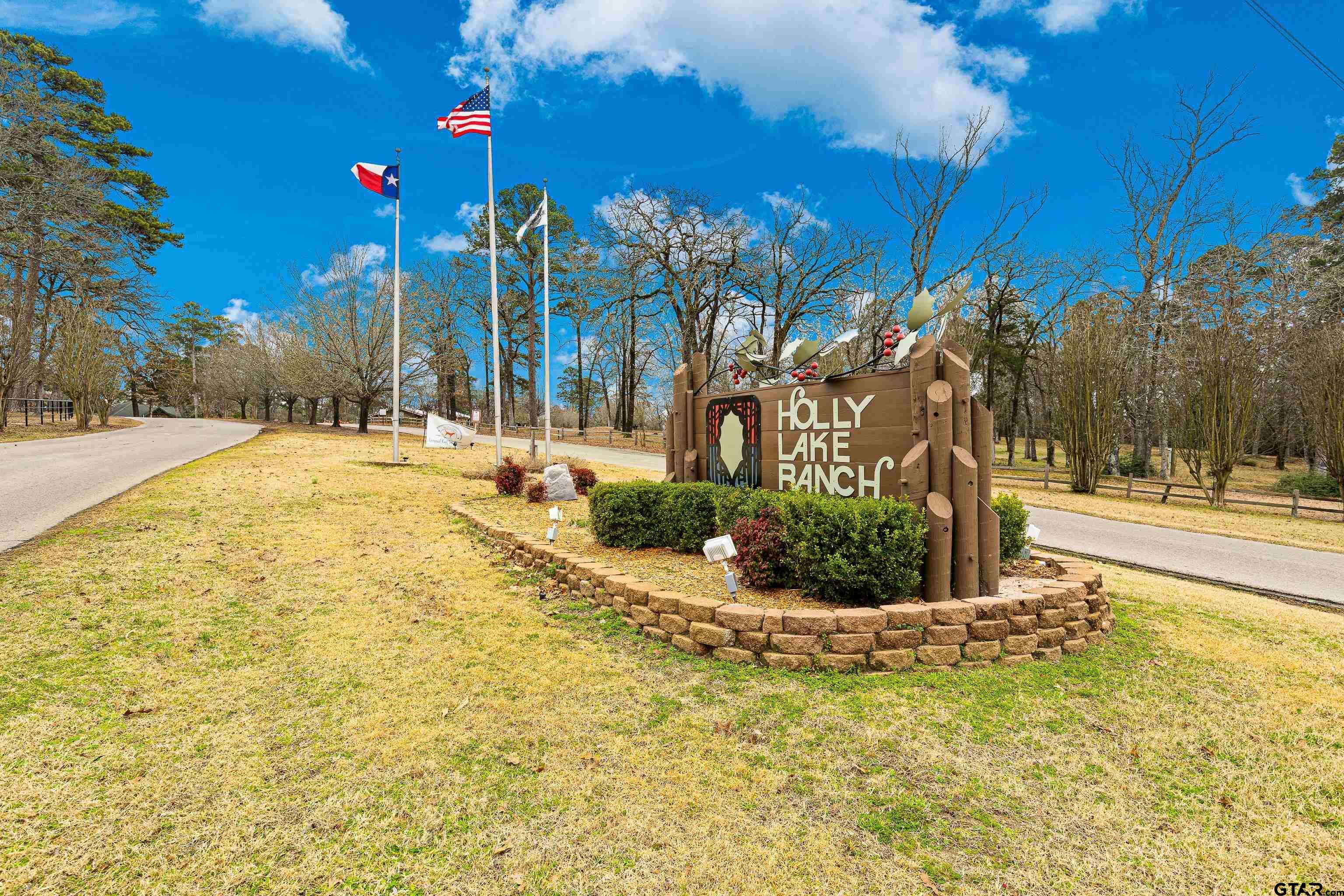 Holly Lake Ranch, TX 75765,177 Paint Rock Point