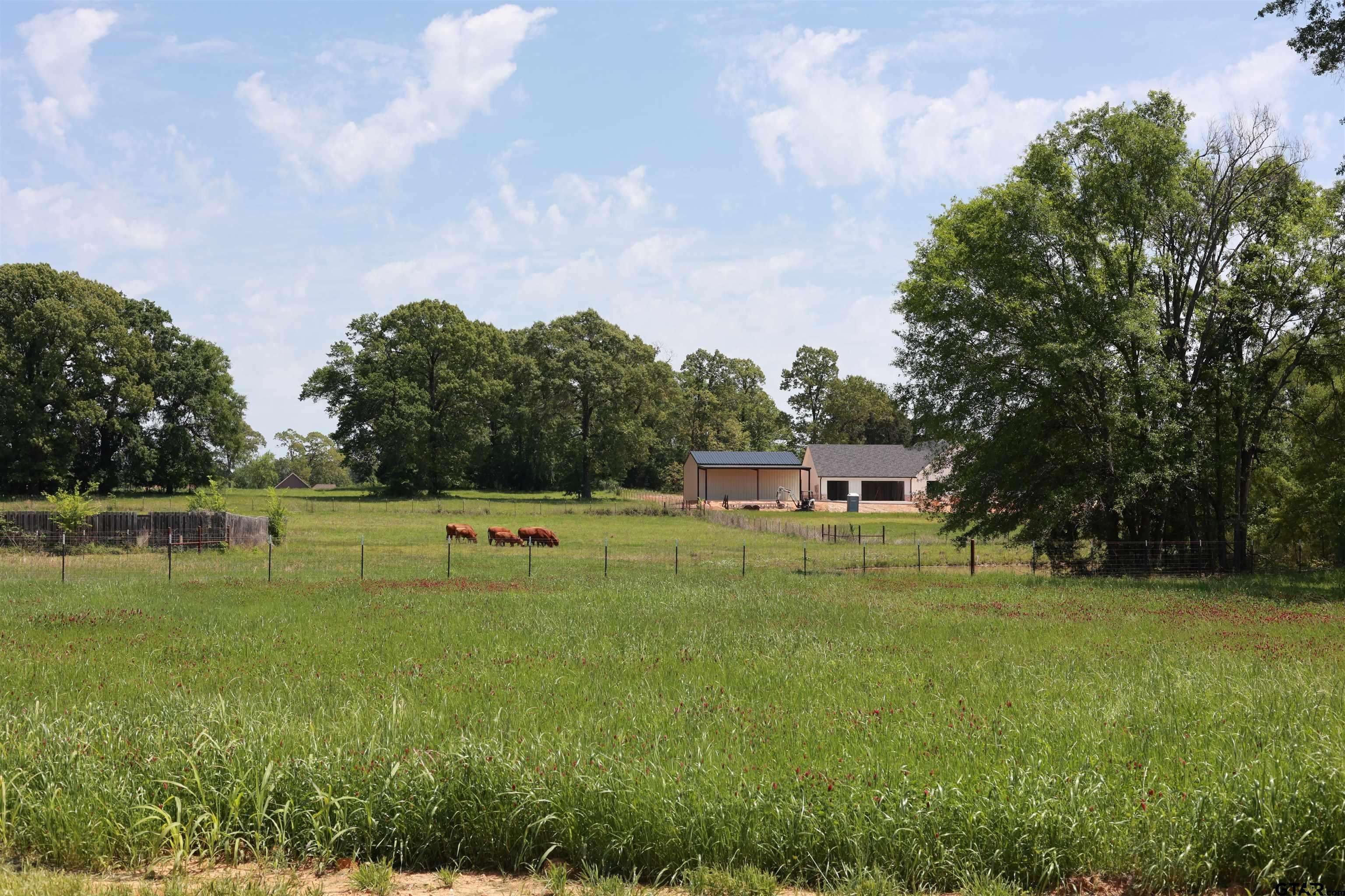 Bullard, TX 75757,TBD Gatlinburg Road