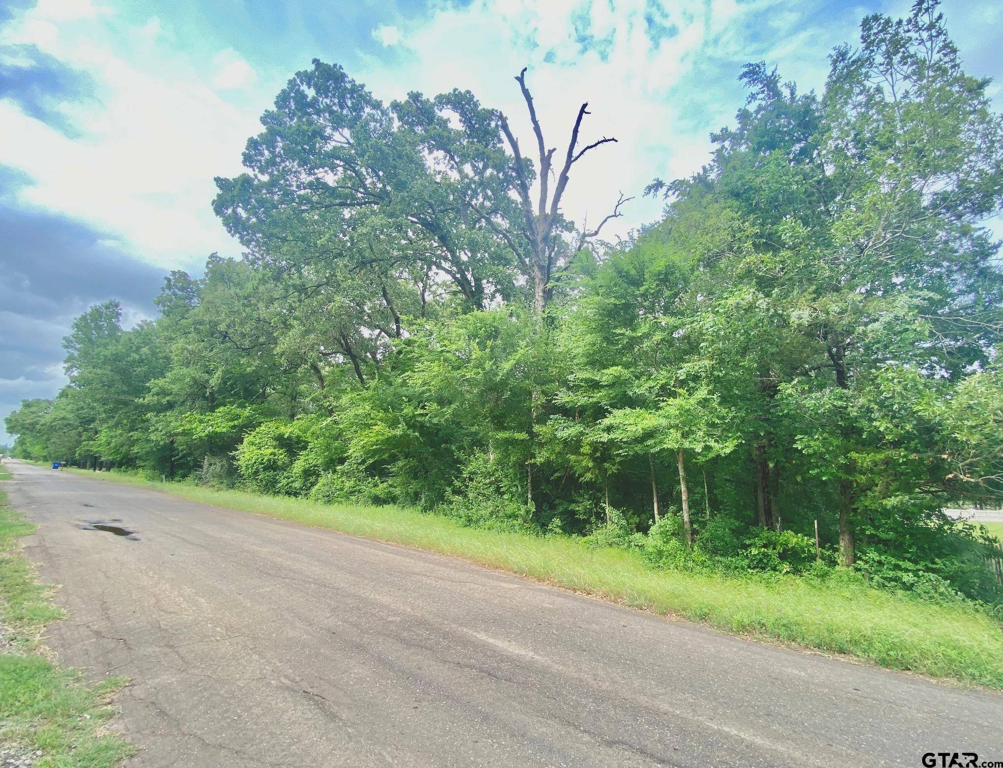 Crockett, TX 75835,TBD CR 3107