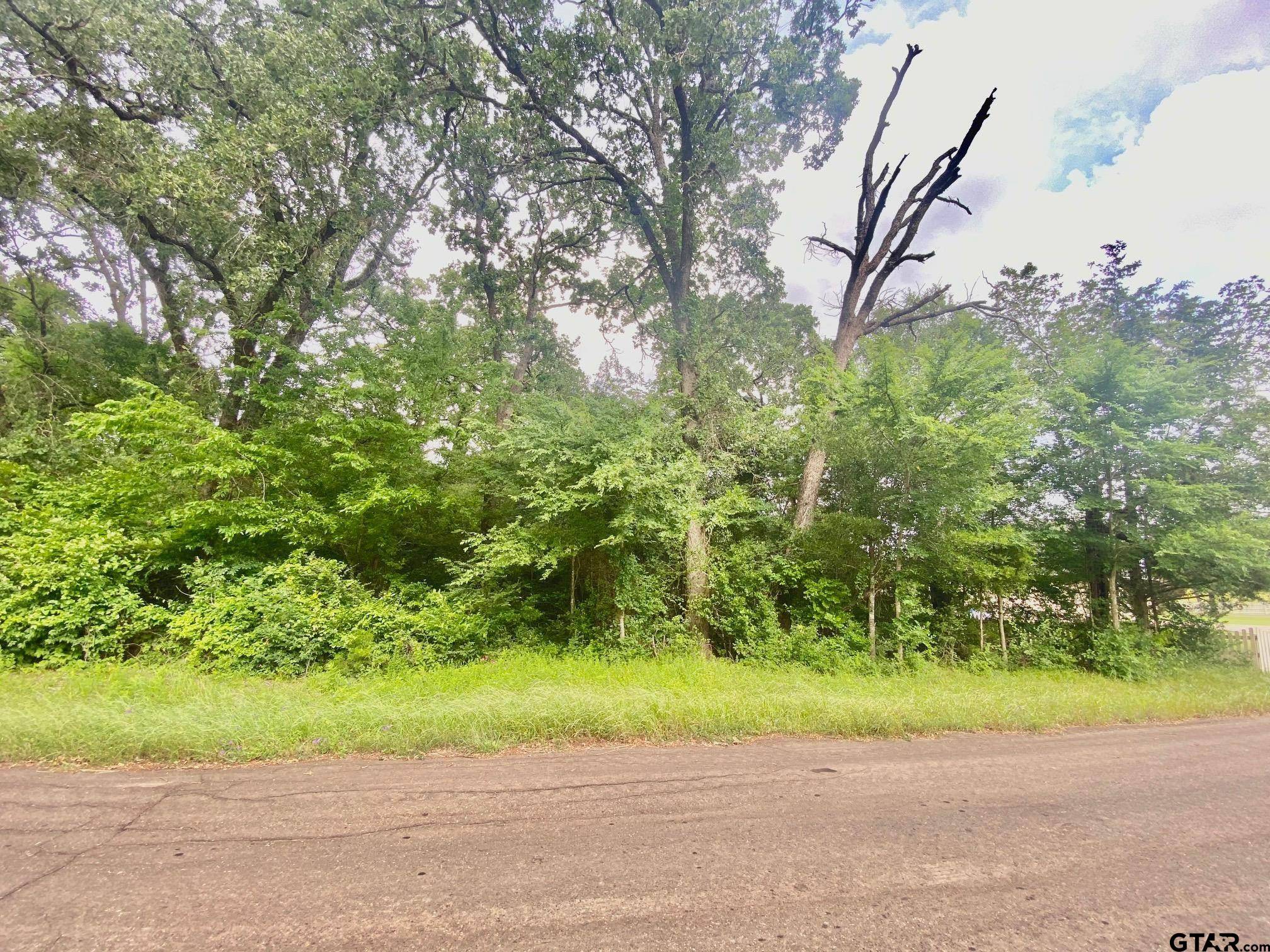 Crockett, TX 75835,TBD CR 3107