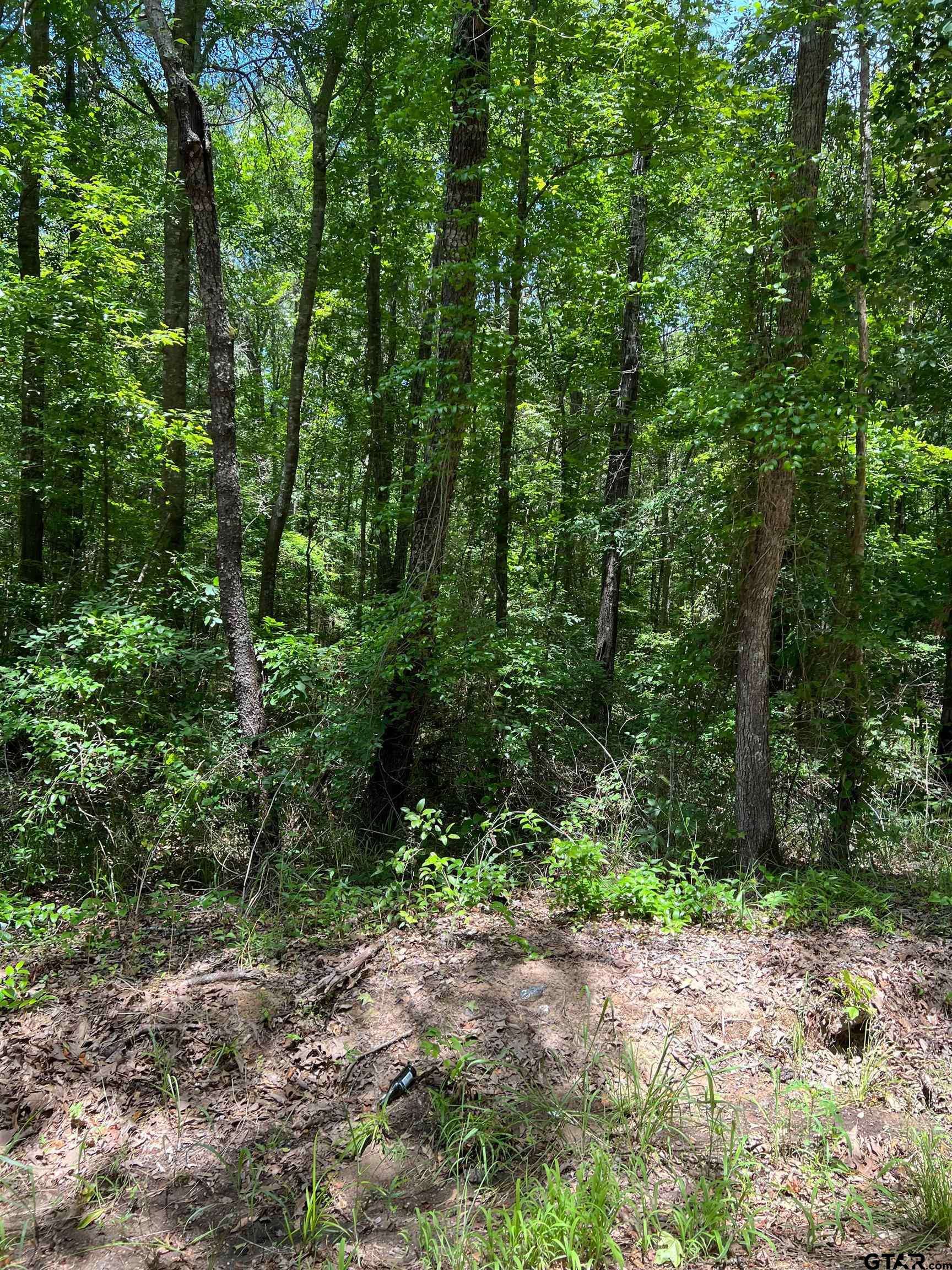 Mt Pleasant, TX 75455,TBD CR 2670