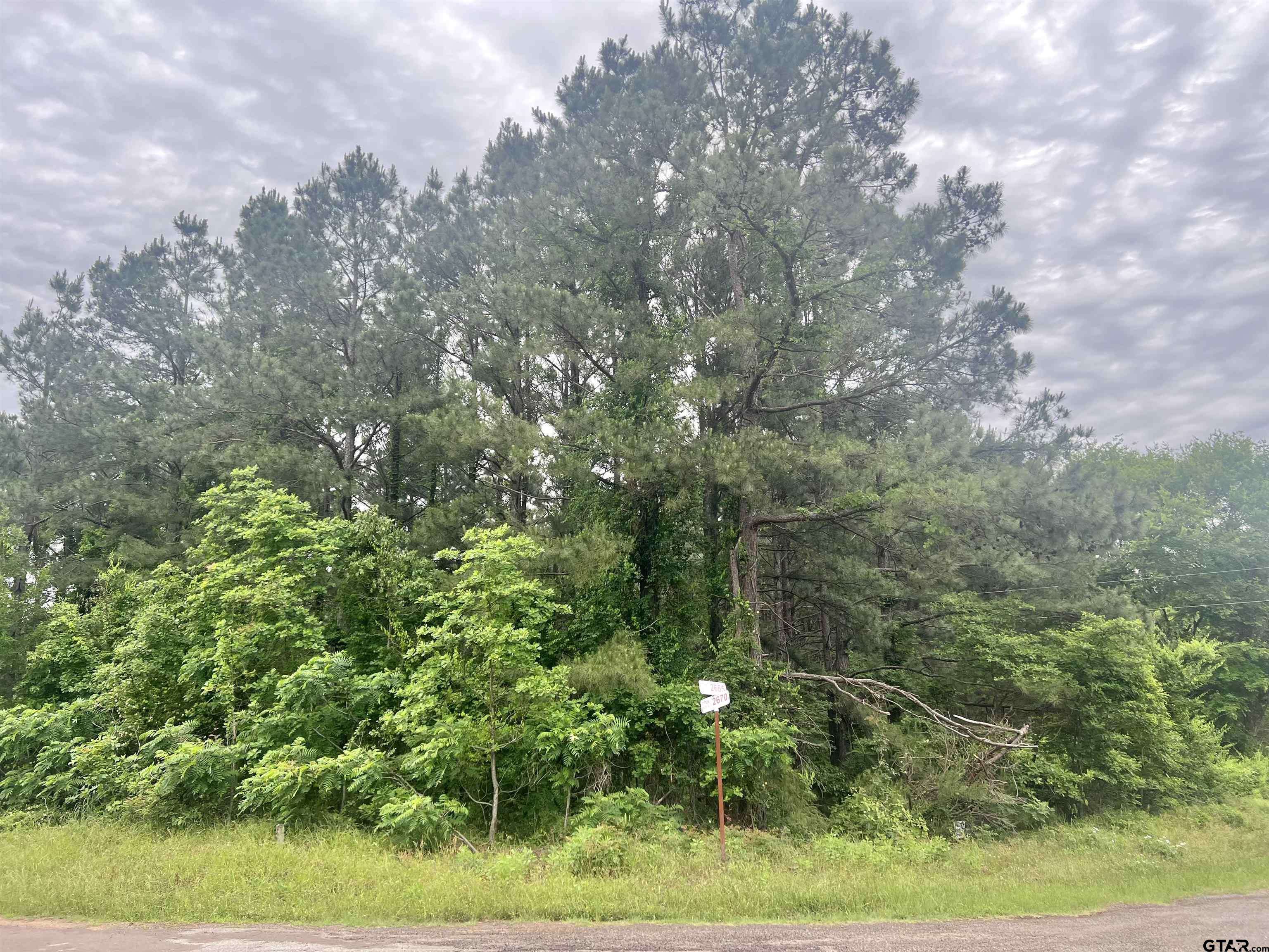 Mt Pleasant, TX 75455,TBD CR 2670
