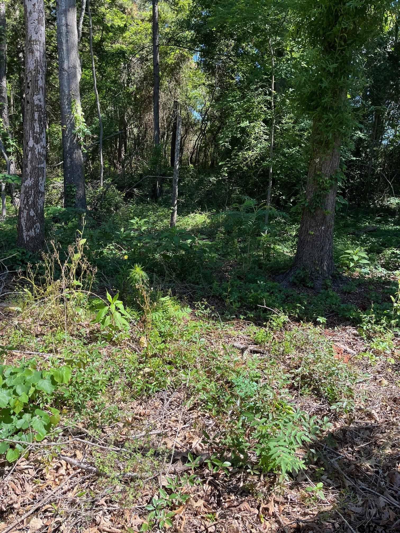 Mineola, TX 75773,TBD FM 1801