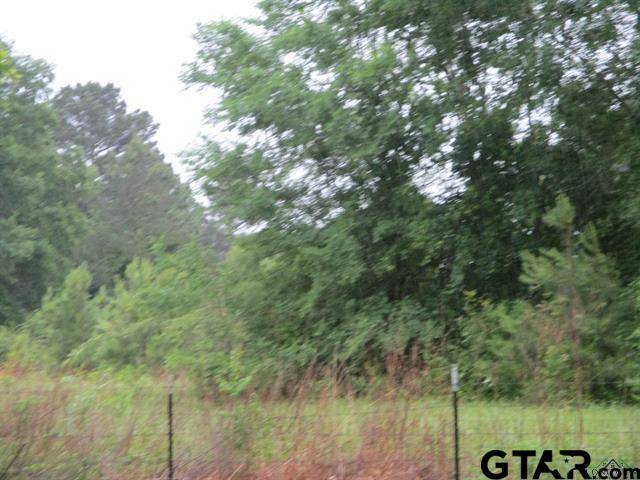 Henderson, TX 75654,0000 S FM 839