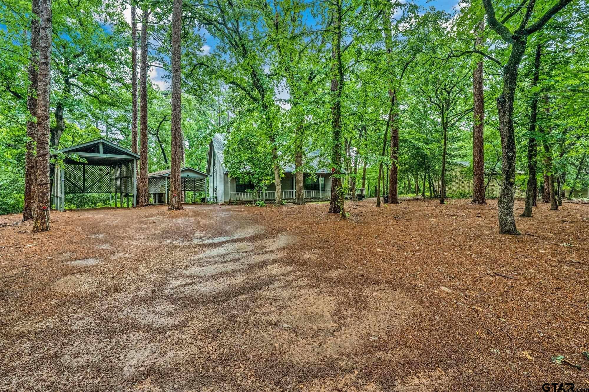 Holly Lake Ranch, TX 75765,141 Green Mesa Ln