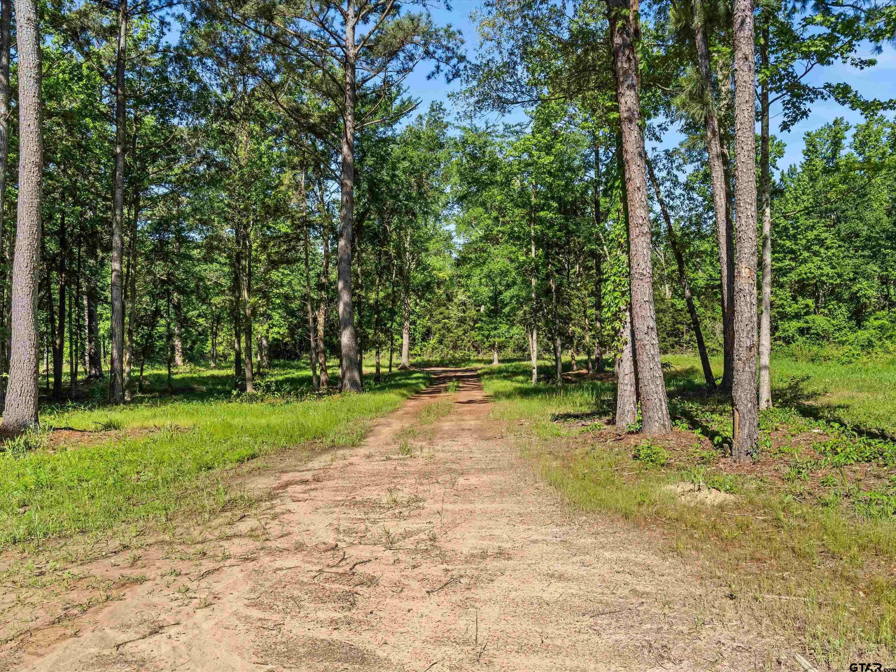 Winnsboro, TX 75494,9760 Wood Chuck