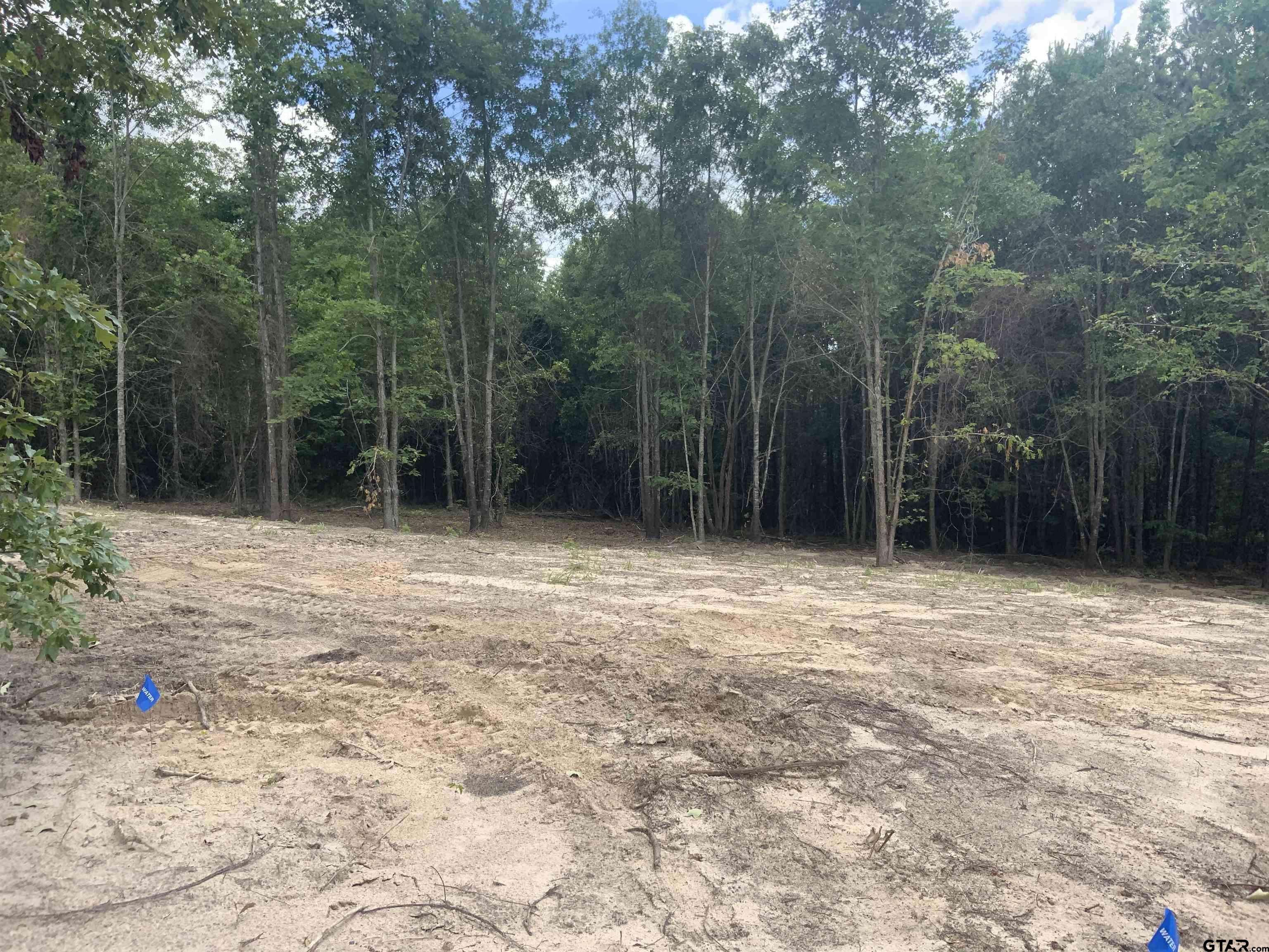 Laneville, TX 75667,7475 S CR 378