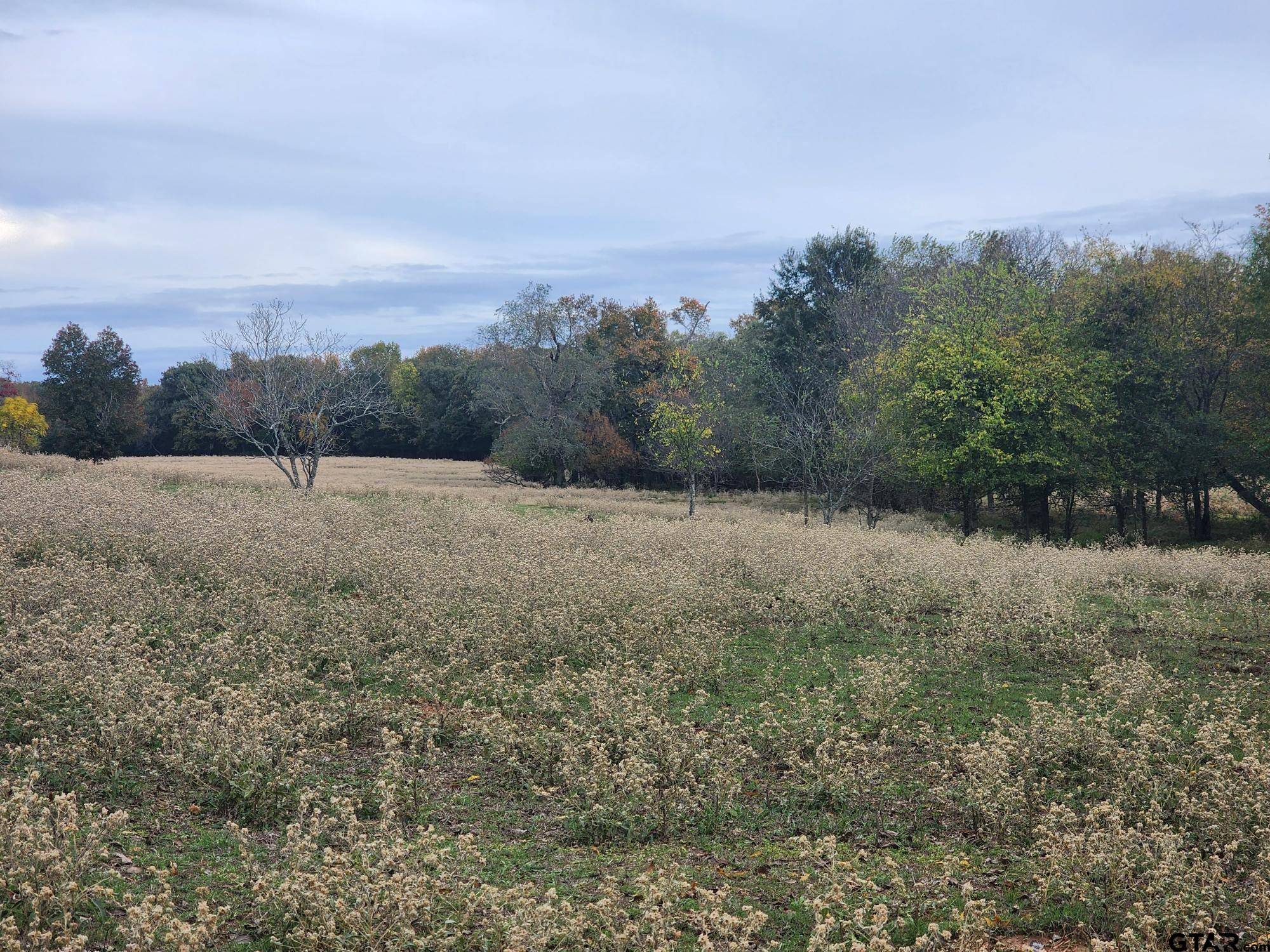 Quitman, TX 75783,000 County Road 4919