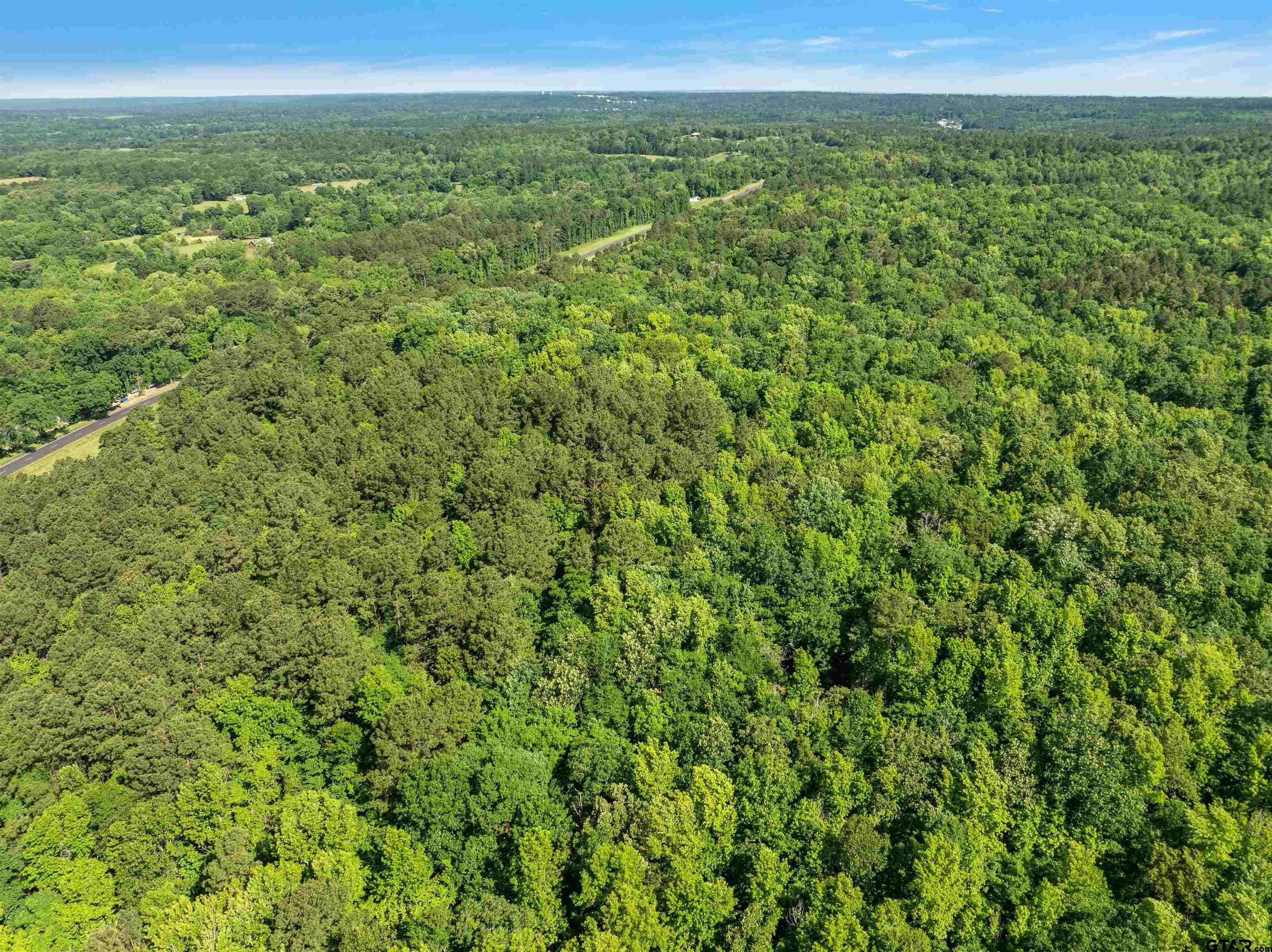 Rusk, TX 75785,35.9 ac Hwy 69 N