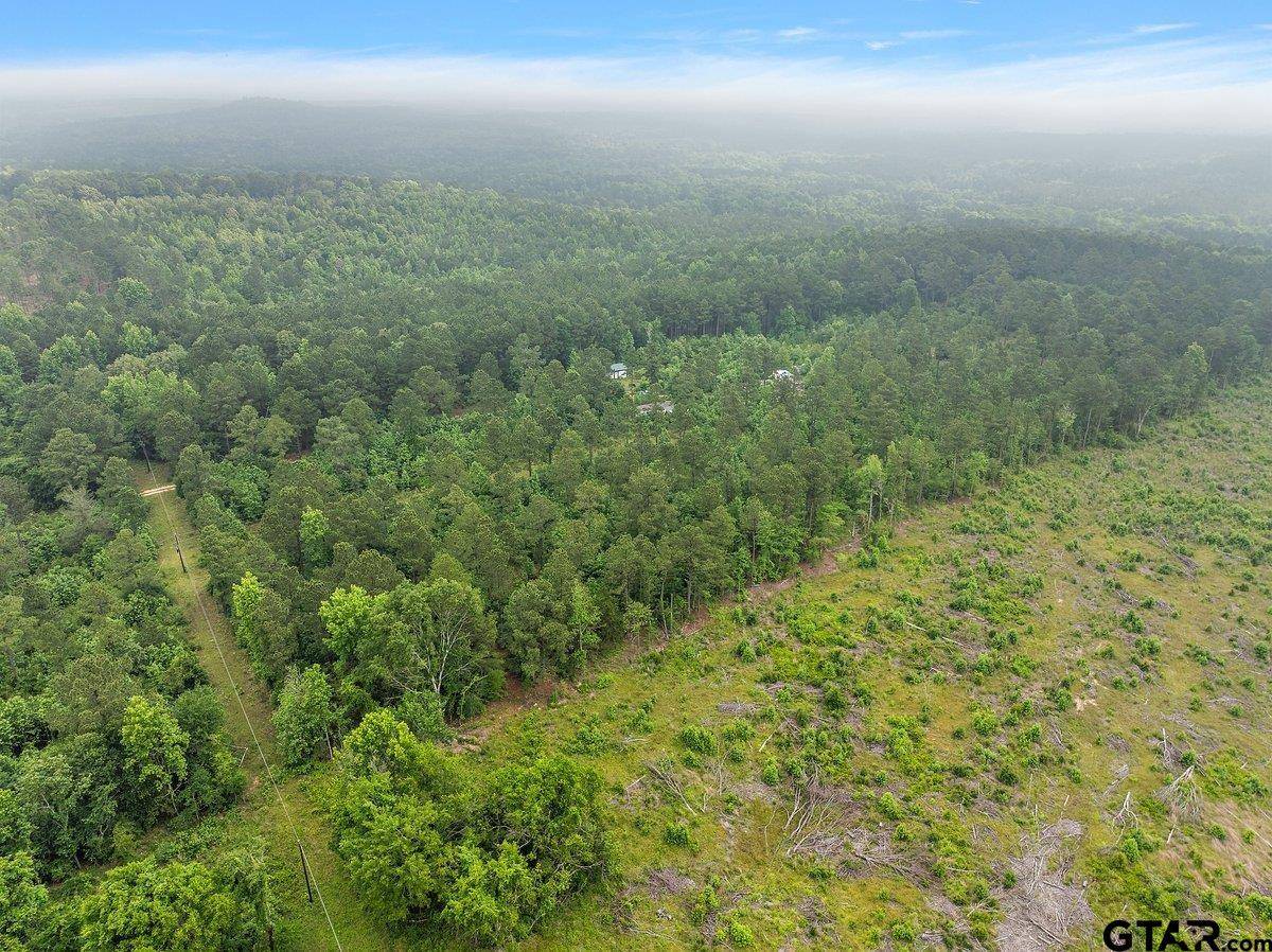 Alto, TX 75925,2683 County Road 1106