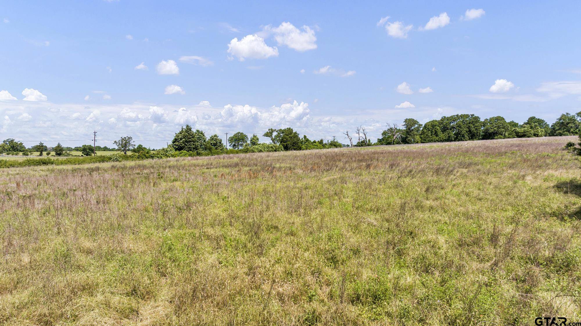 Tennessee Colony, TX 75861,TBD Lot 10 FM 645
