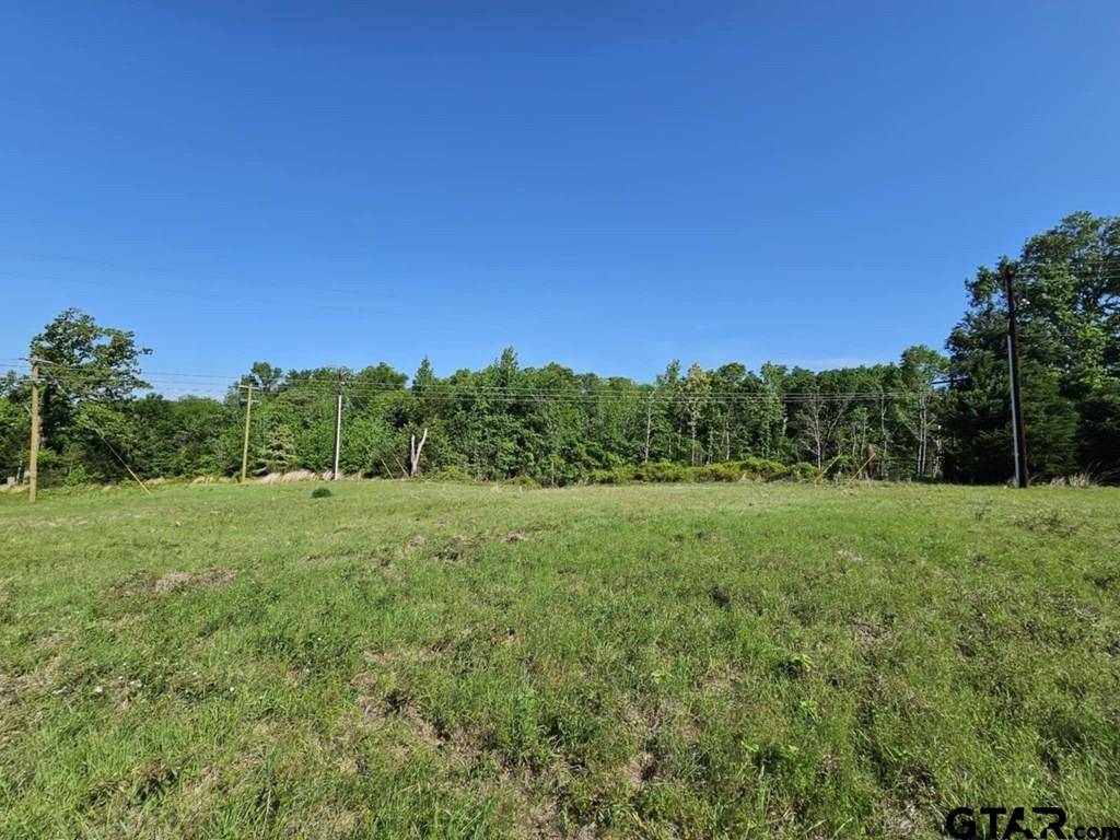 Palestine, TX 75801,0 Willow Creek Dr