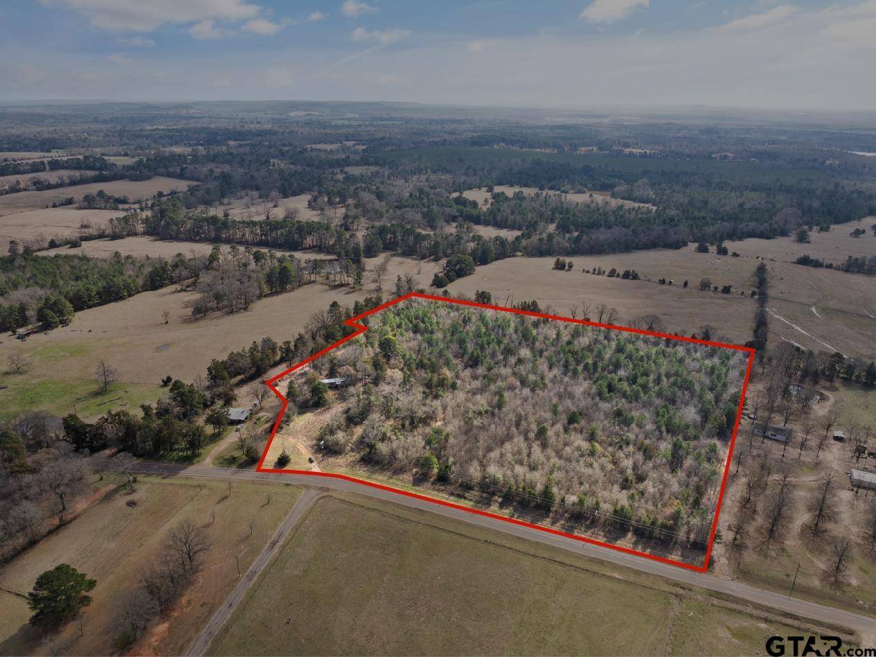 Gilmer, TX 75644,1654 FM 593