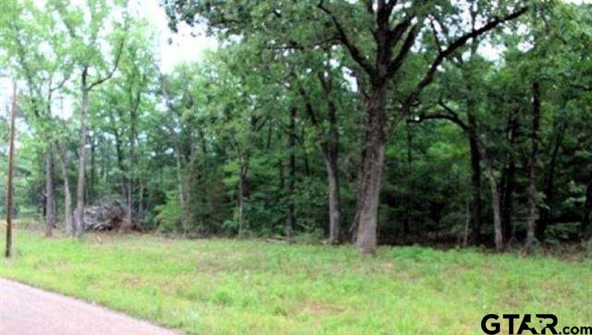 Bullard, TX 75757,TBD CR 3816