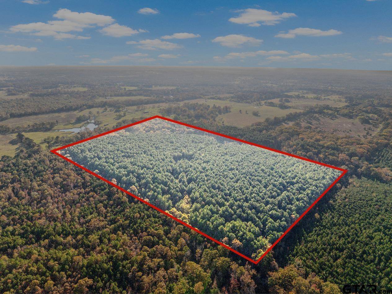 Mt Pleasant, TX 75455,000 CR 3725