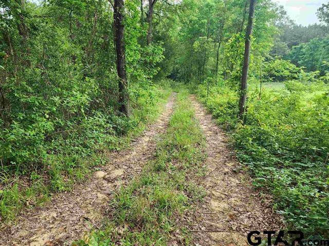 Ore City, TX 75683,TBD Wild Daisy RD