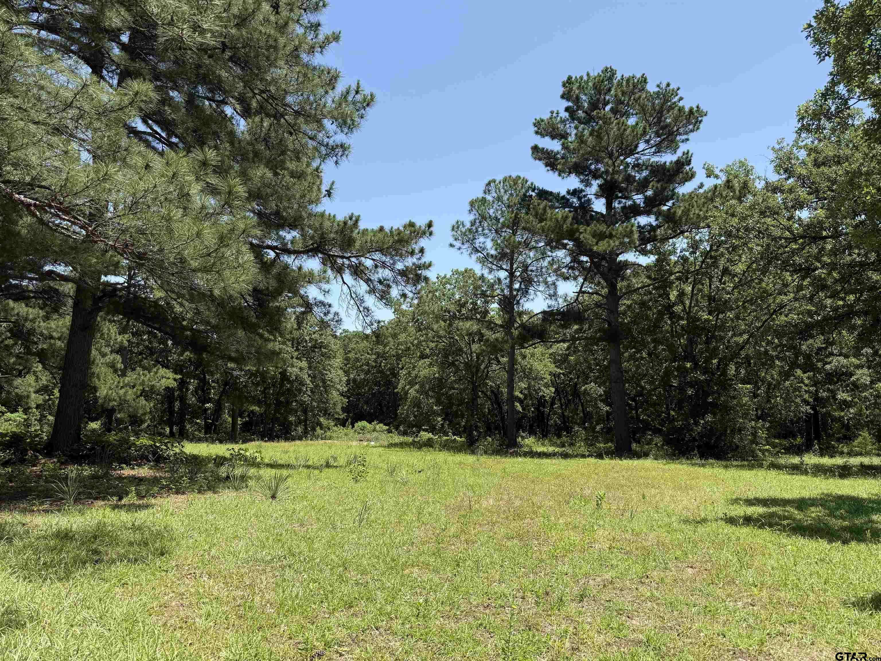 Lindale, TX 75771,17102 Cr 4188