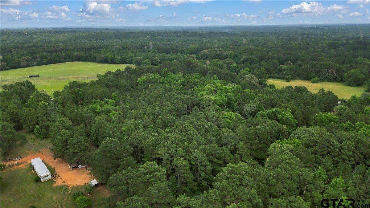 Ben Wheeler, TX 75754,TBD Lot 2 (2.350 acres)