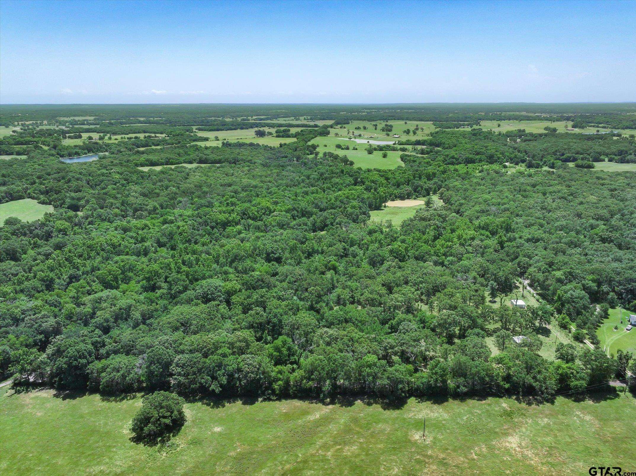 Grand Saline, TX 75140,878 VZ County Road 1314