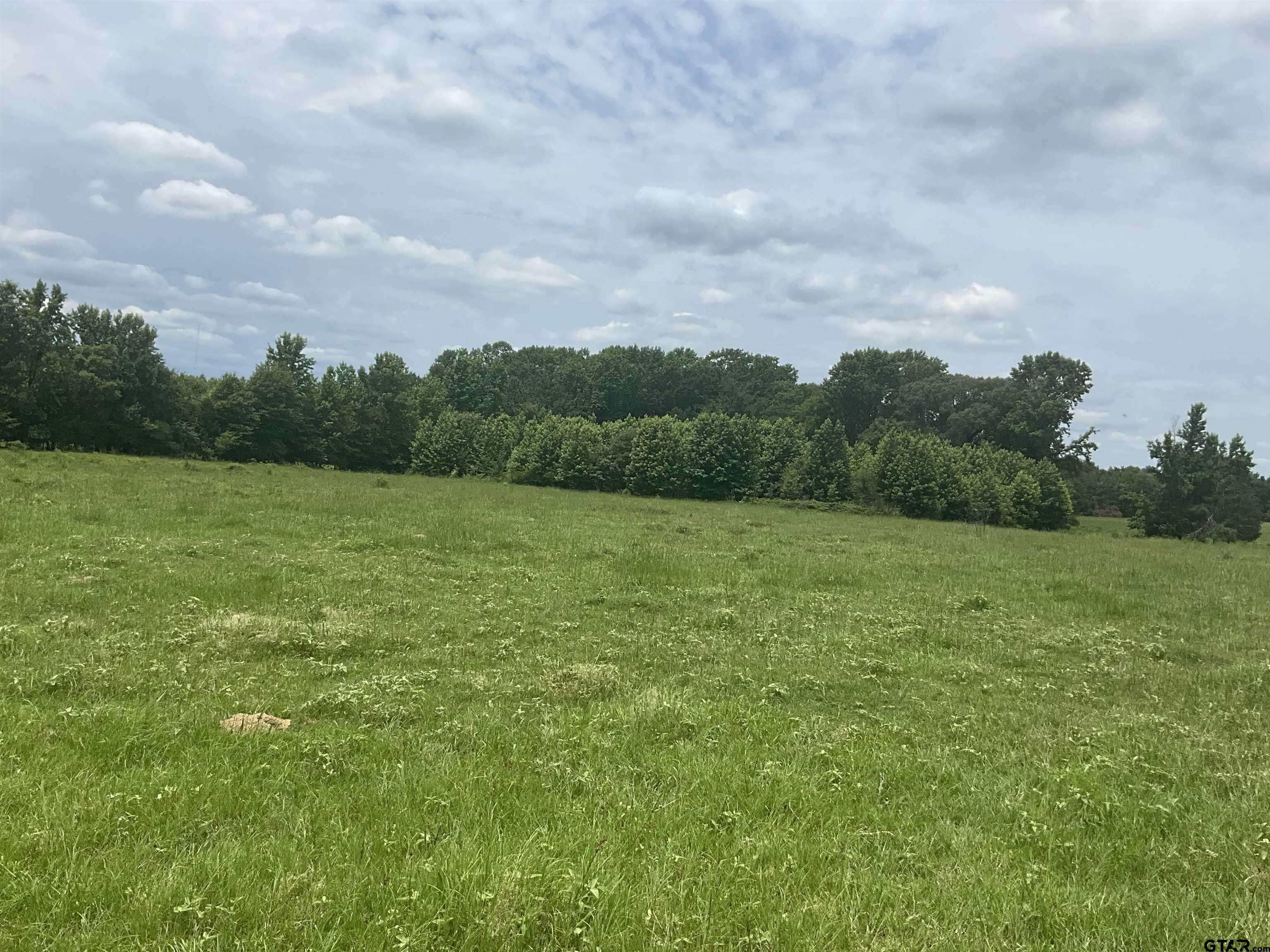 Pittsburg, TX 75686,TBD CR 2314