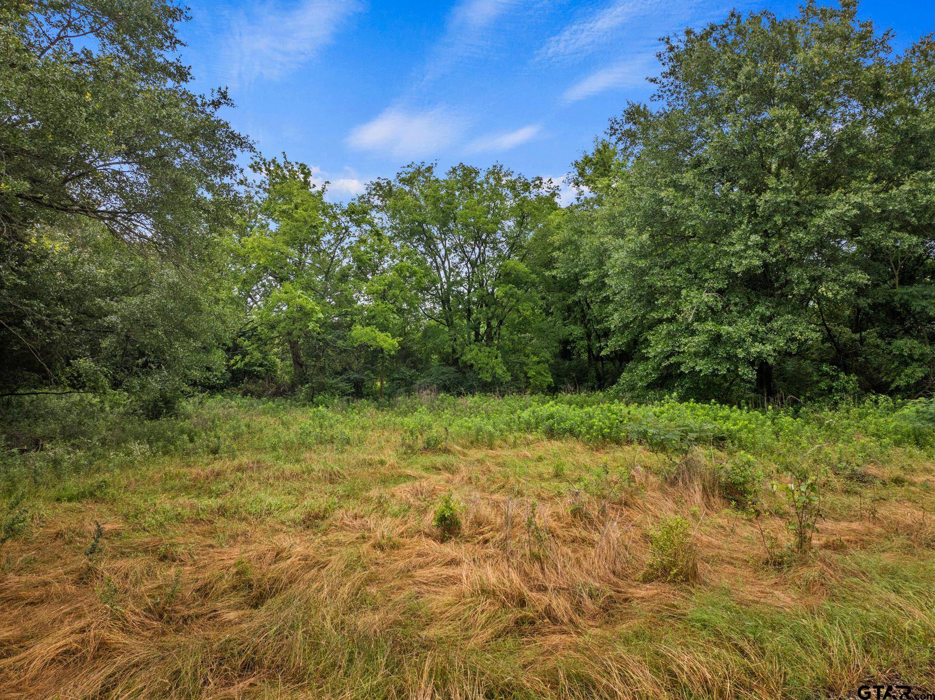 Mt Vernon, TX 75457,436 Grady Street