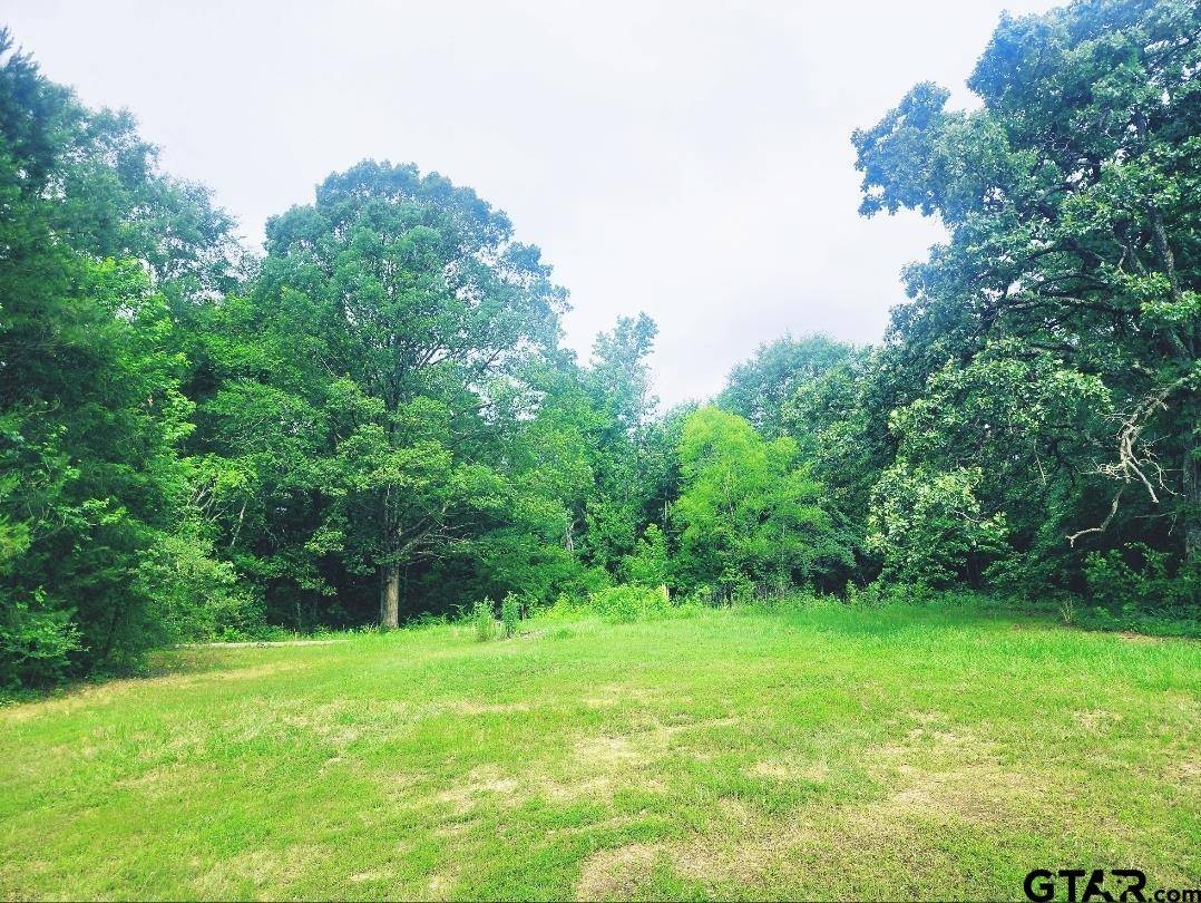 Harleton, TX 75651,22473 Farm to Market 2208