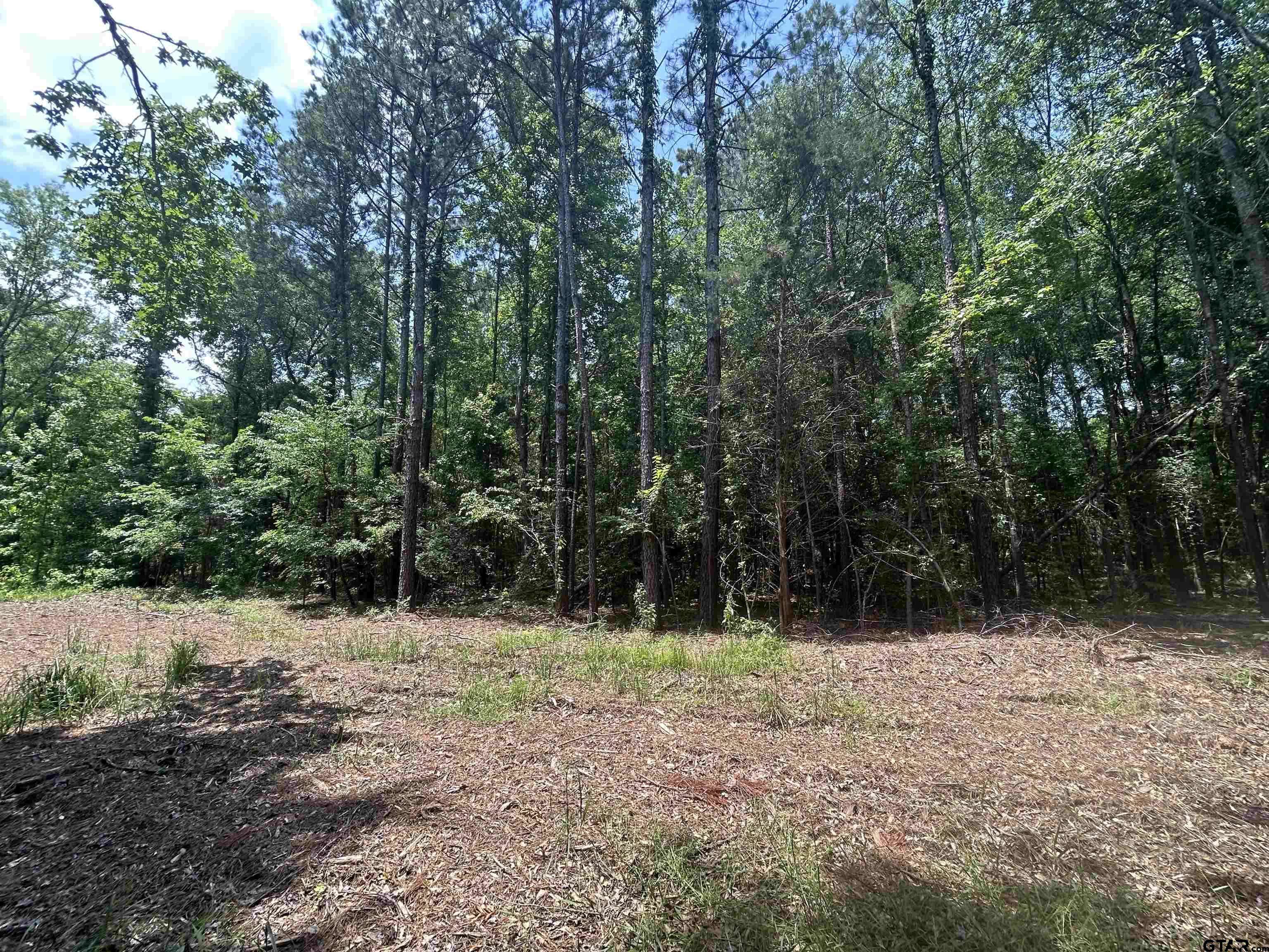 White Oak, TX 75693,TBD HWY 42