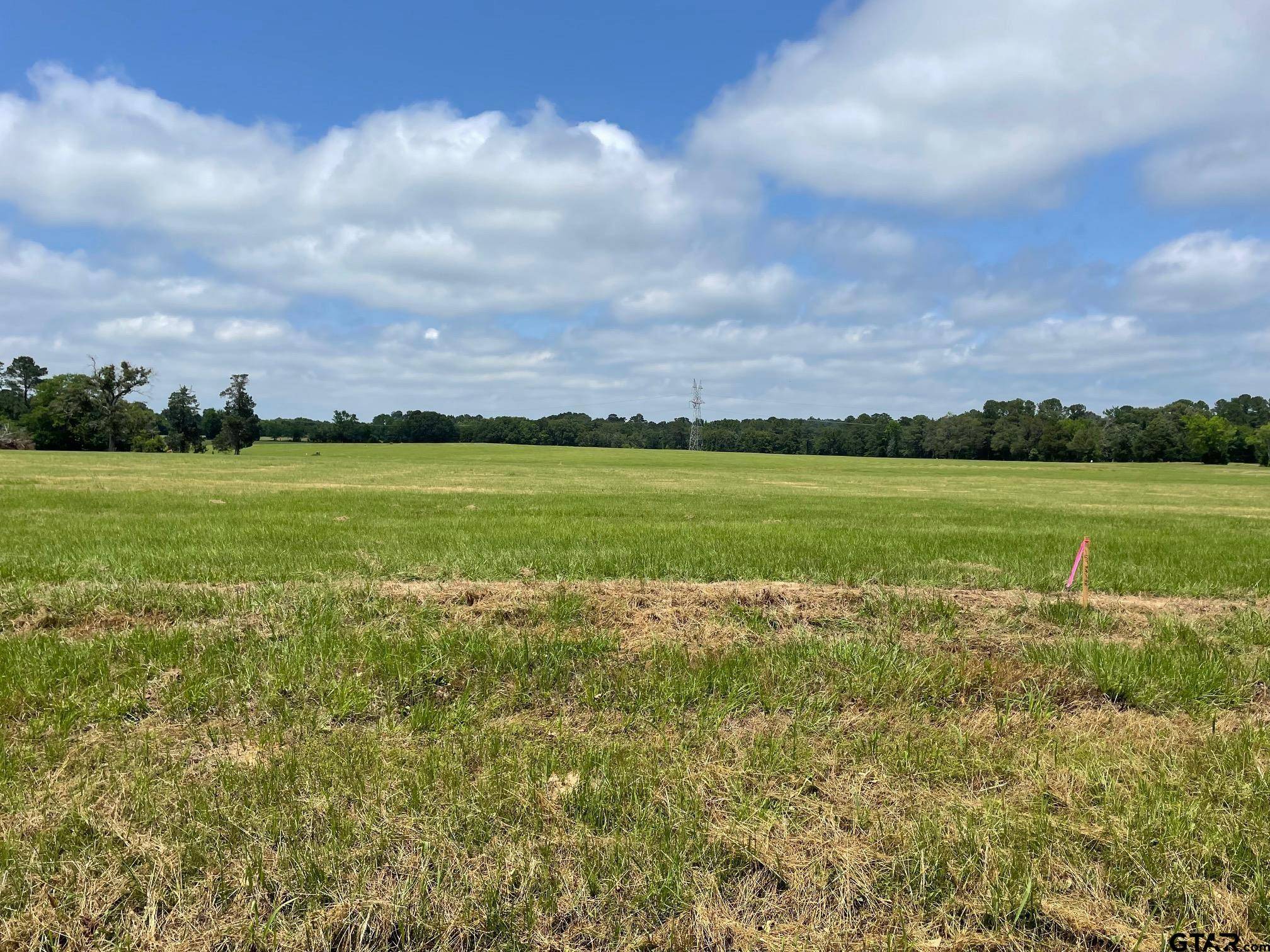 Lindale, TX 75771,11380 CR 4128    Lot 2A