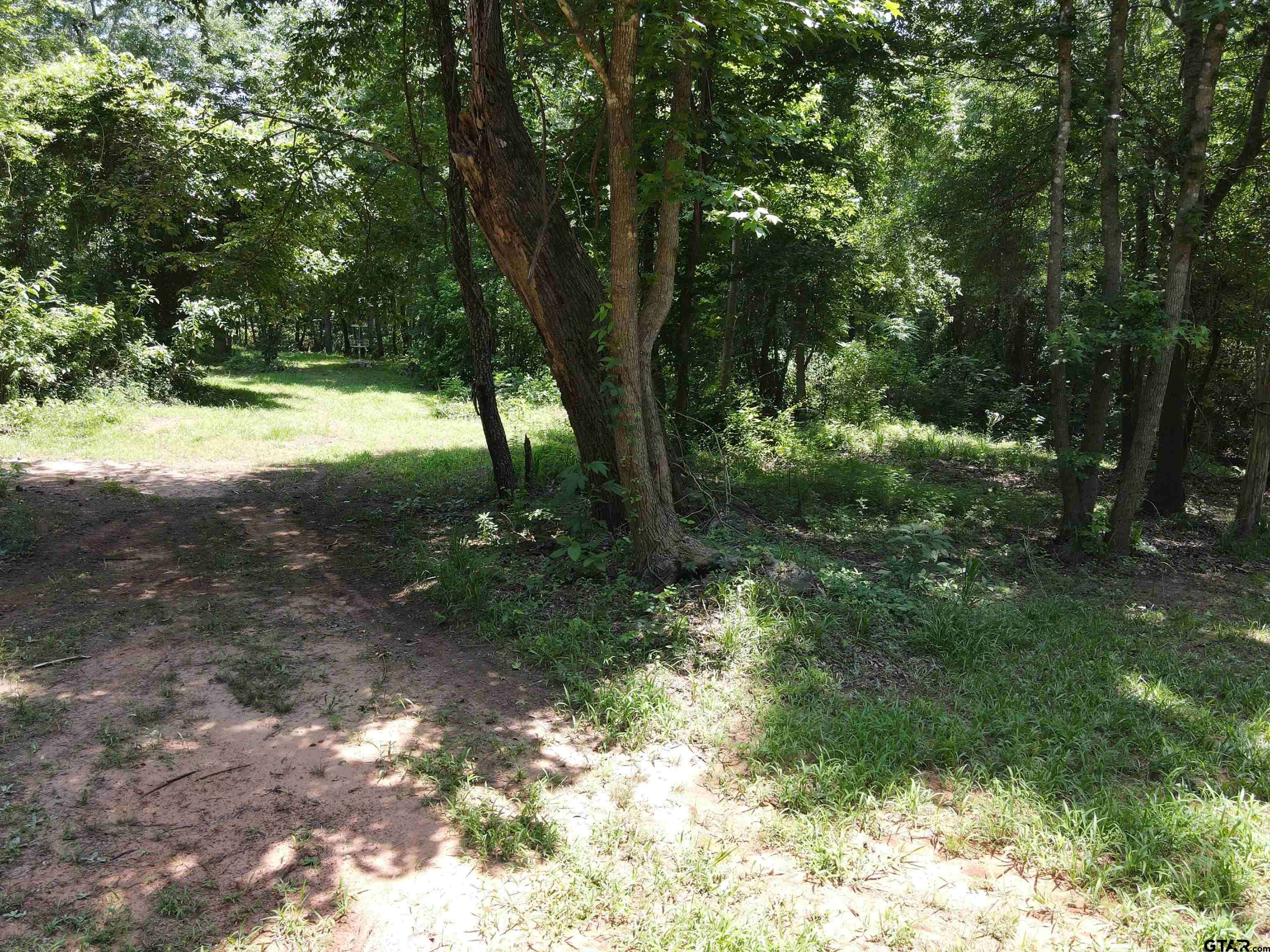 Tyler, TX 75706,TBD Werner Ln