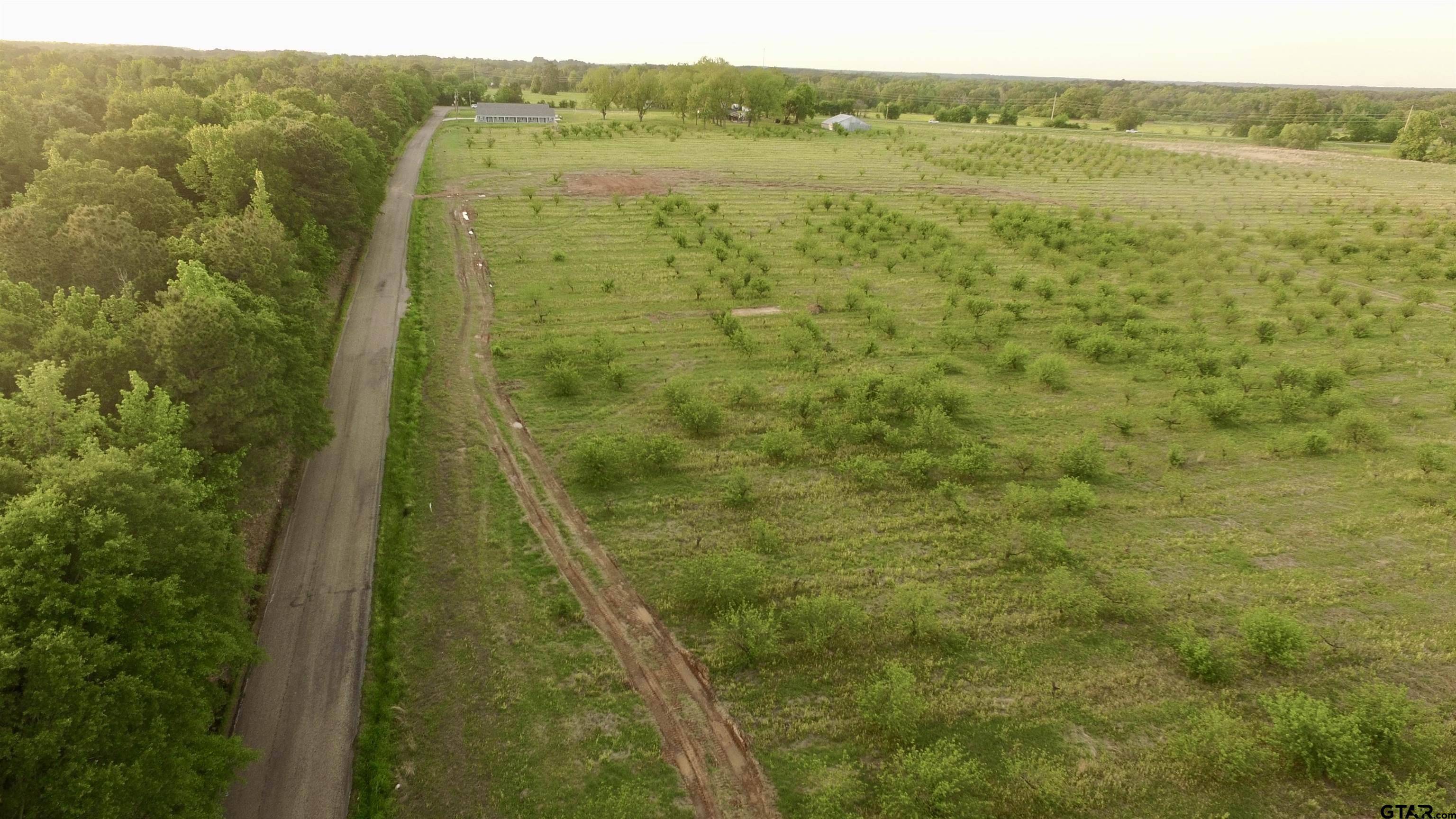 Pittsburg, TX 75686,Lot 6 CR 4230