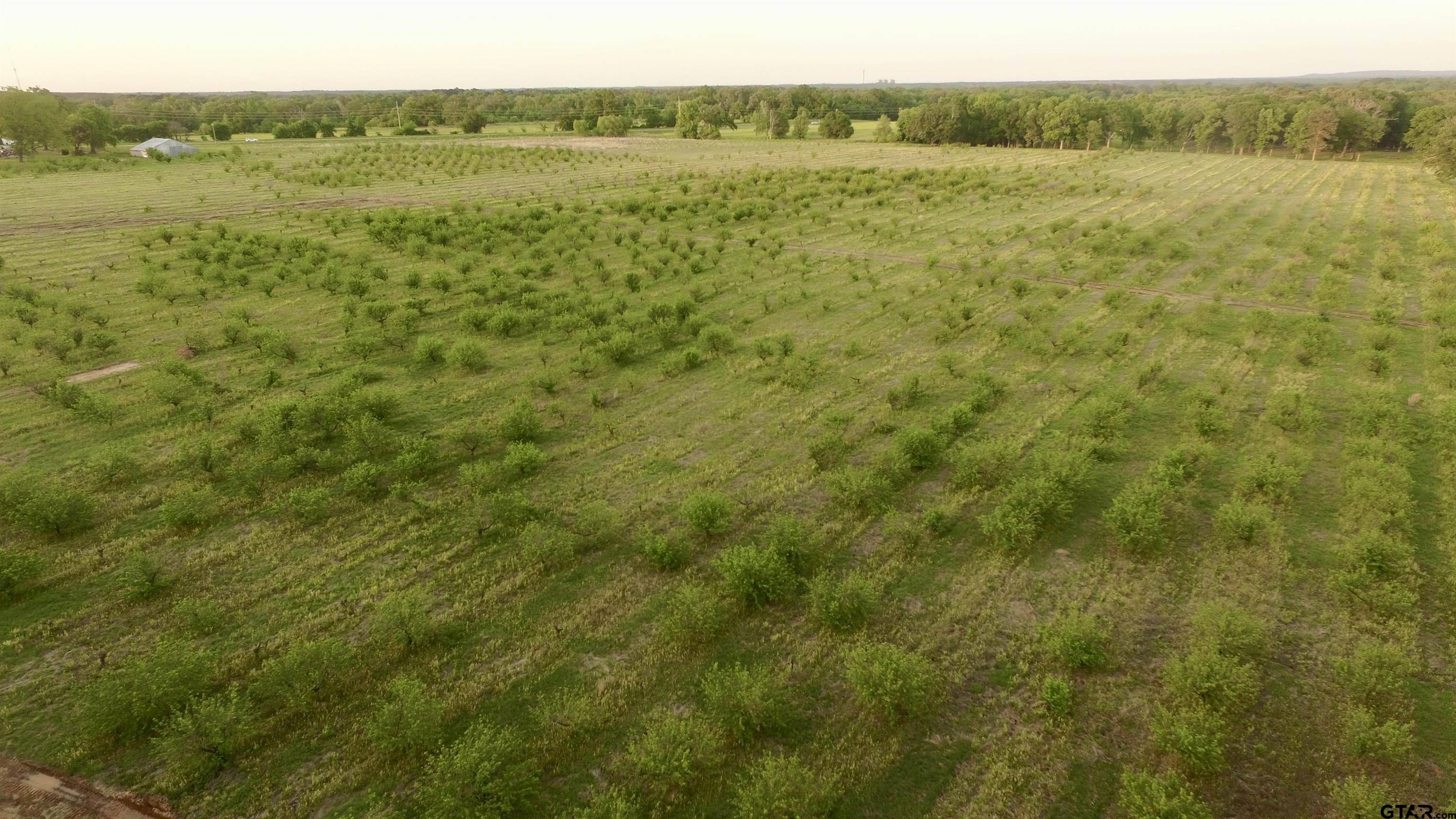 Pittsburg, TX 75686,Lot 6 CR 4230