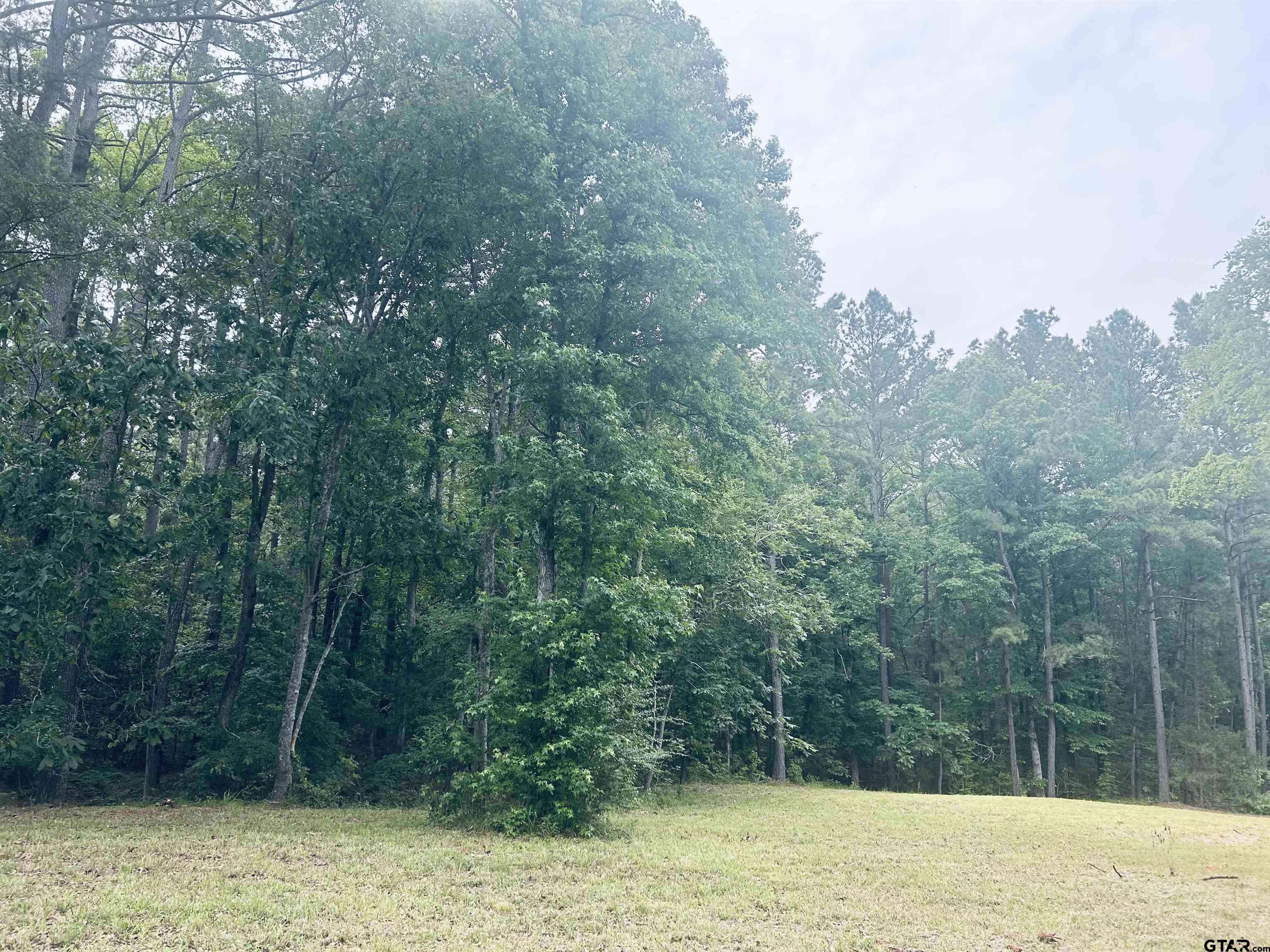Troup, TX 75789,TBD Brandon St